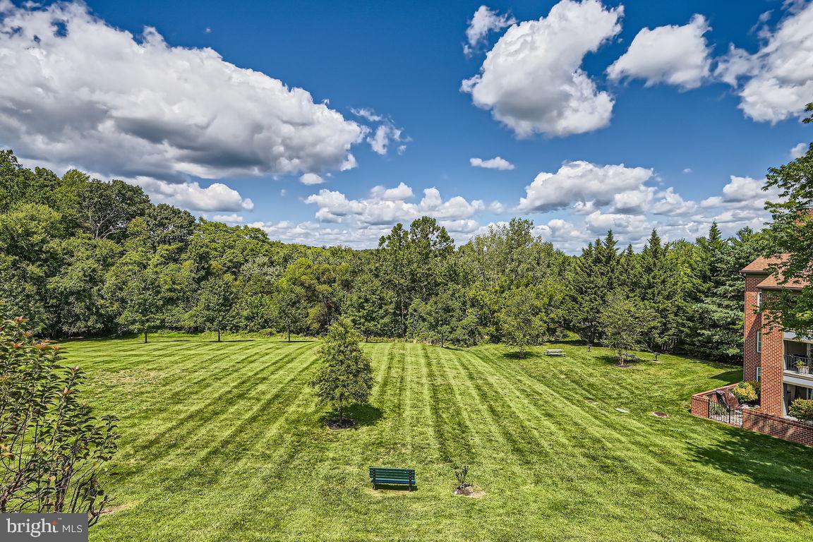 THE FALLS - Residential