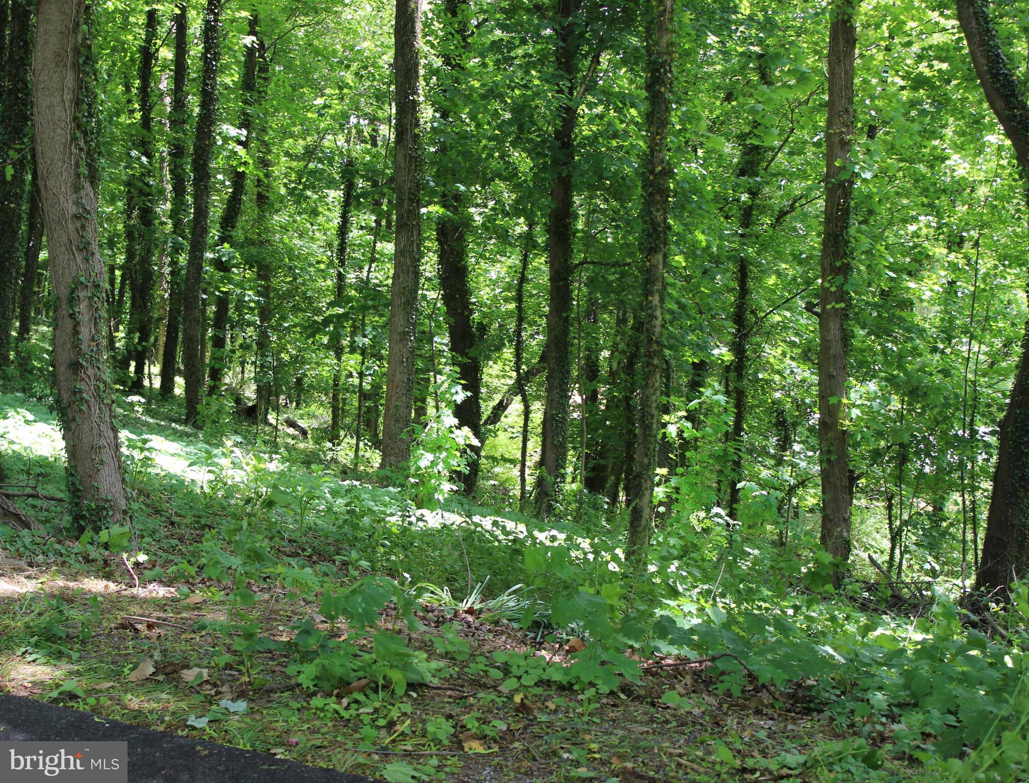 MANHEIM TWP - Residential
