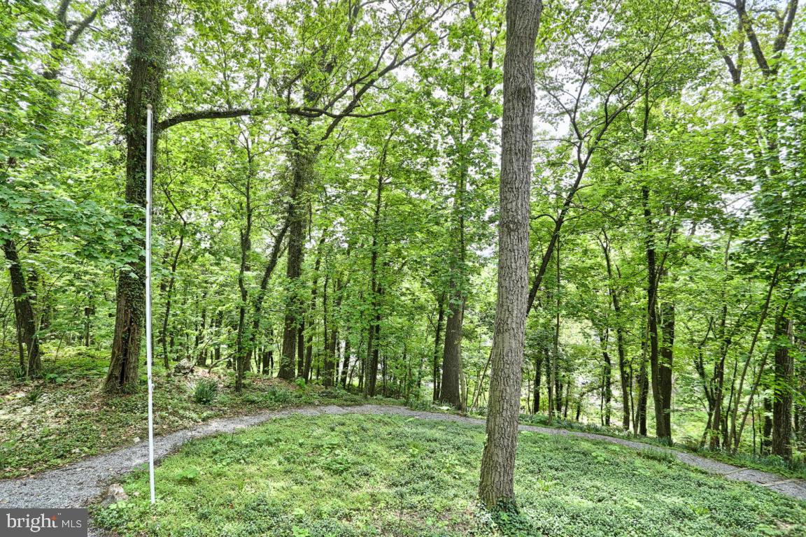 MANHEIM TWP - Residential