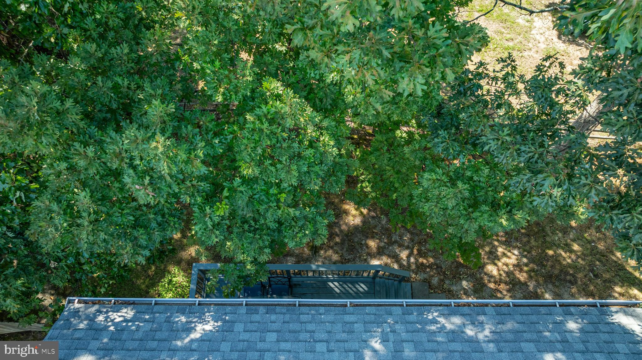 ST CHARLES DORCHESTER - Residential