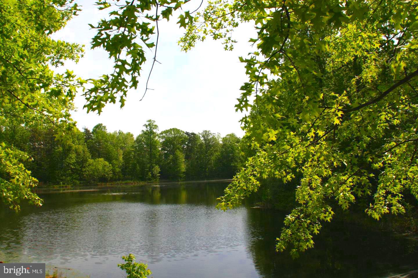 ISLAND CREEK - Residential