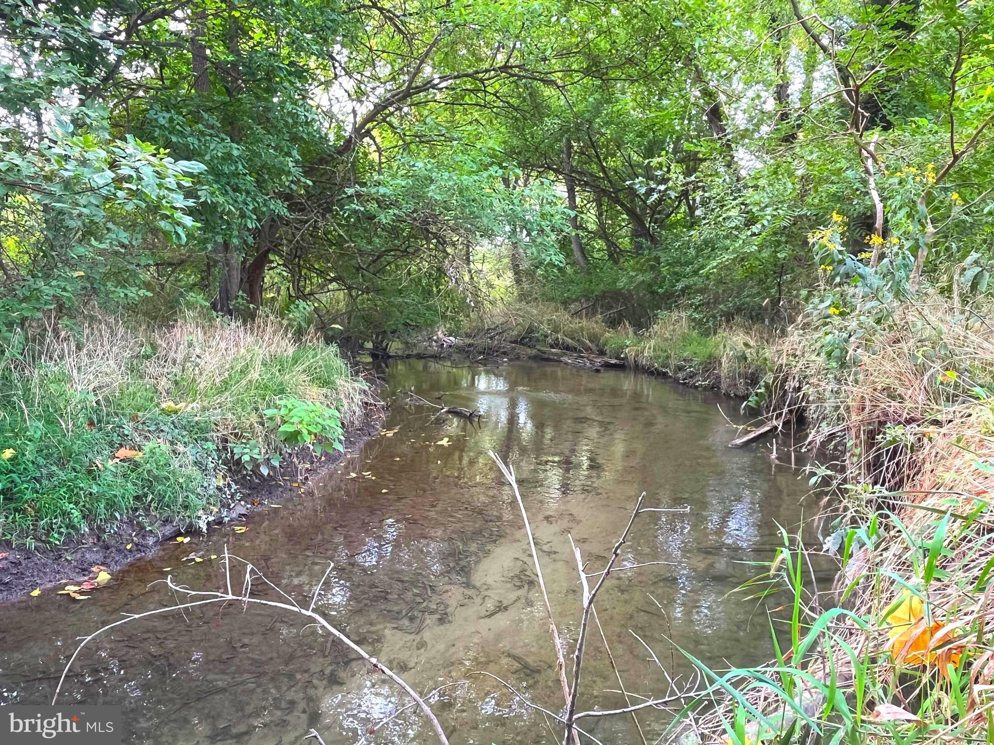 EVITTS RUN ESTATES - Residential