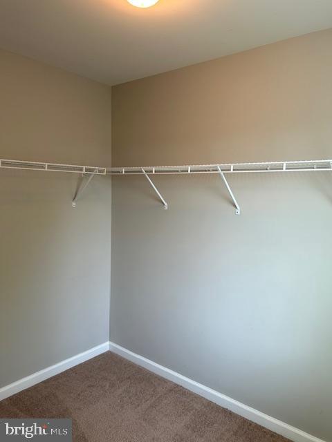 ELLENDALE - Residential Lease