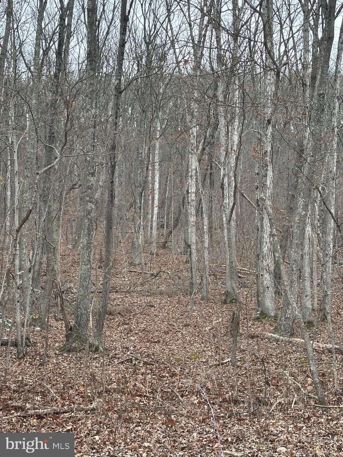 LAKE FERNDALE - Land