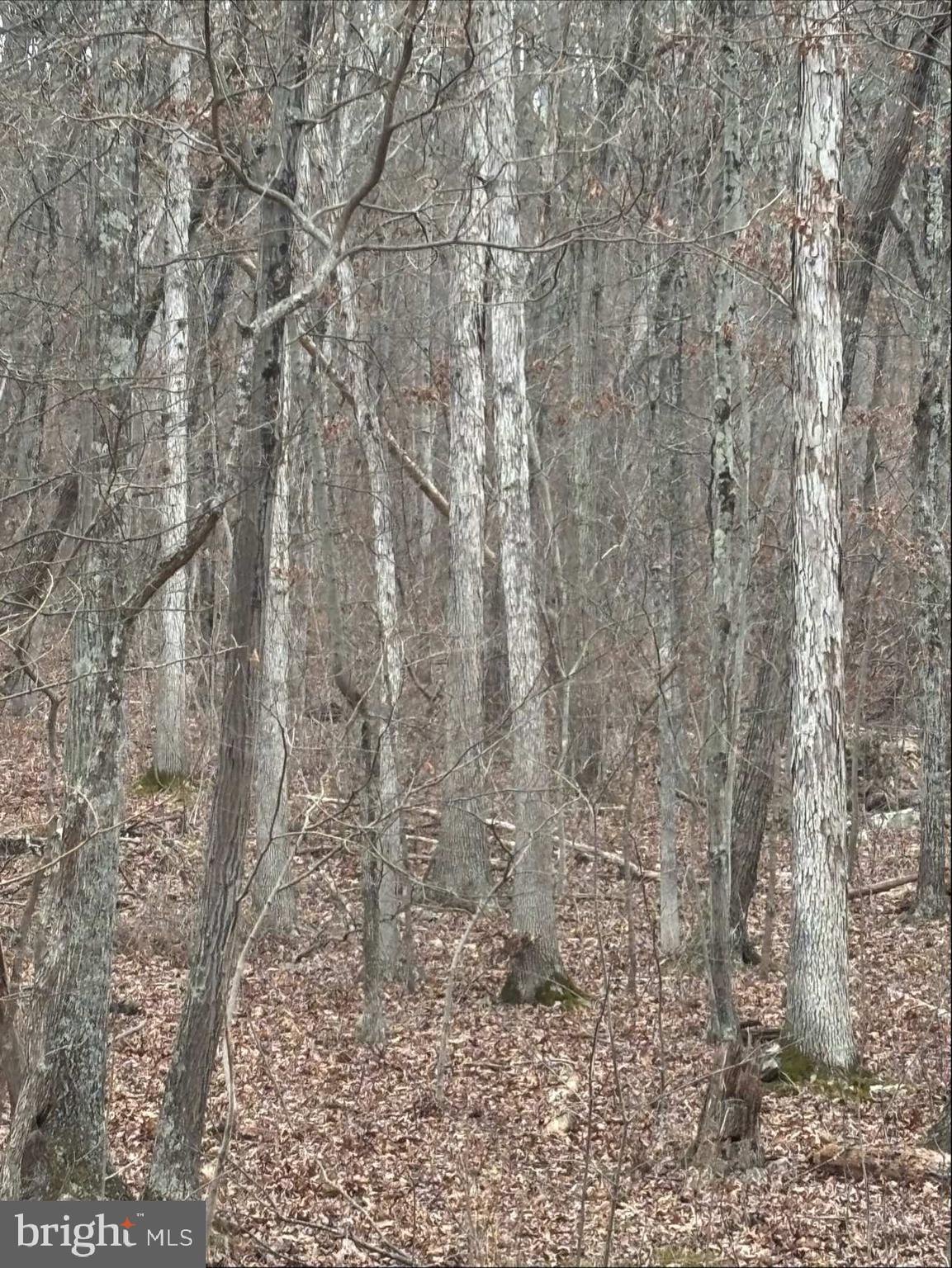 LAKE FERNDALE - Land