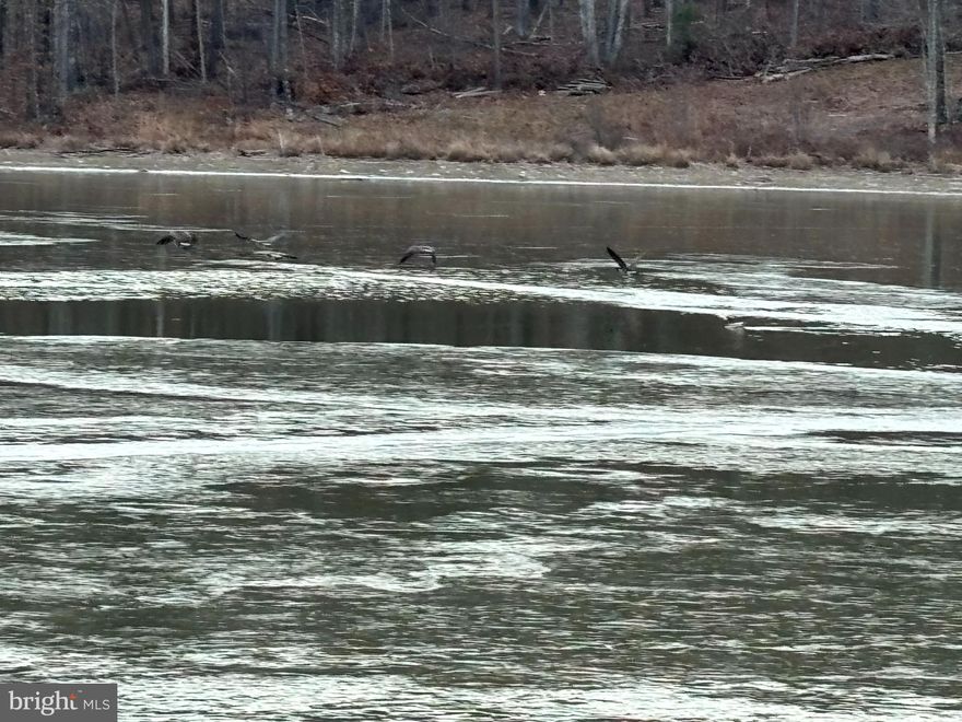 Discover the potential of this 6-acre parcel of land located in the serene Lake Ferndale area of Springfield, WV. This property is nestled a 1 1/4 mile back on the left side of Lake Ferndale Drive (2316 and 4632 - 2nd entrance), marked by orange stakes. With its untouched timber and abundant wildlife, this land offers a unique opportunity for nature enthusiasts. Situated just a 1/4 mile from the lake entrance, it presents an ideal setting for a vacation spot, winter retreat, or permanent residence. Embrace the beauty of the great outdoors and create your own haven in this picturesque location.