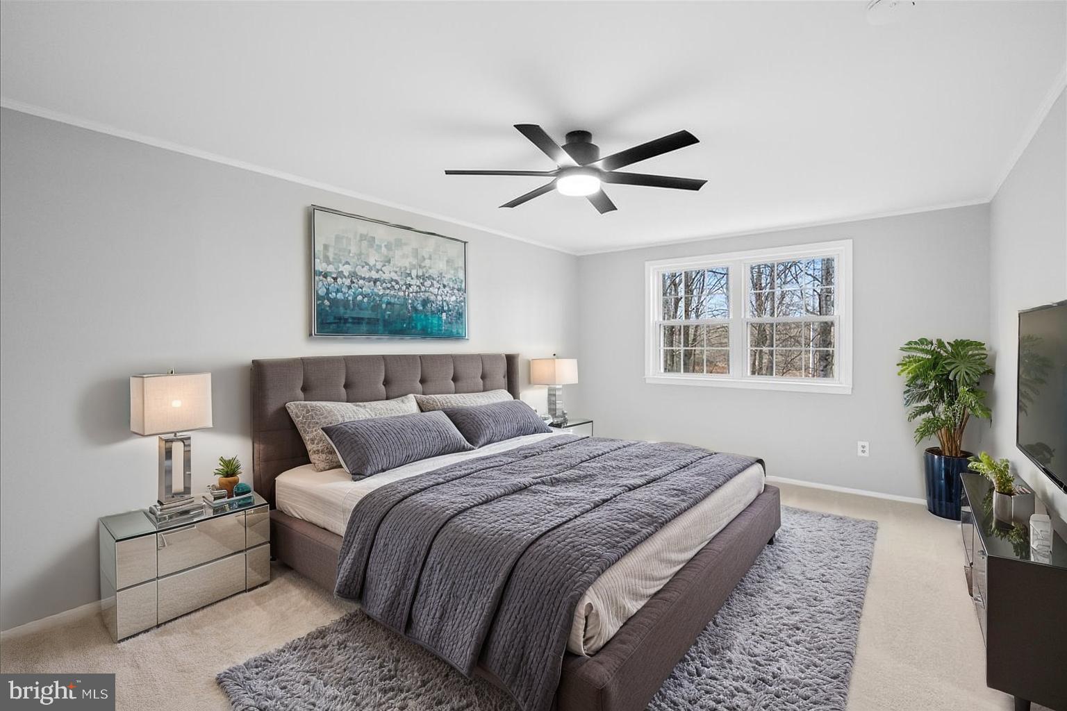 8300 WHITE STAR COURT