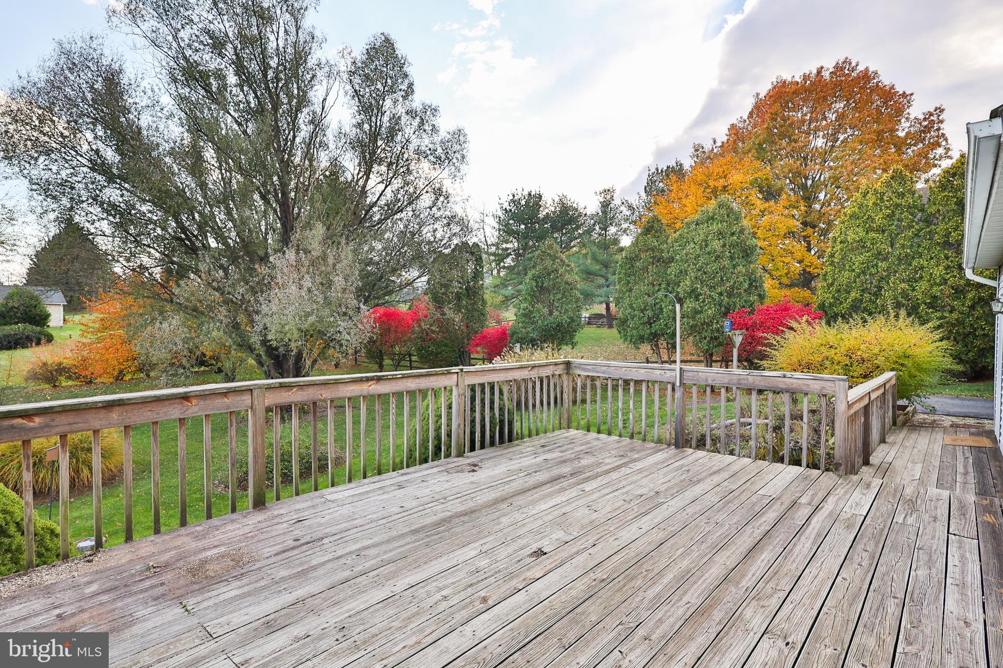 WYNNEWOOD TERRACE - Residential