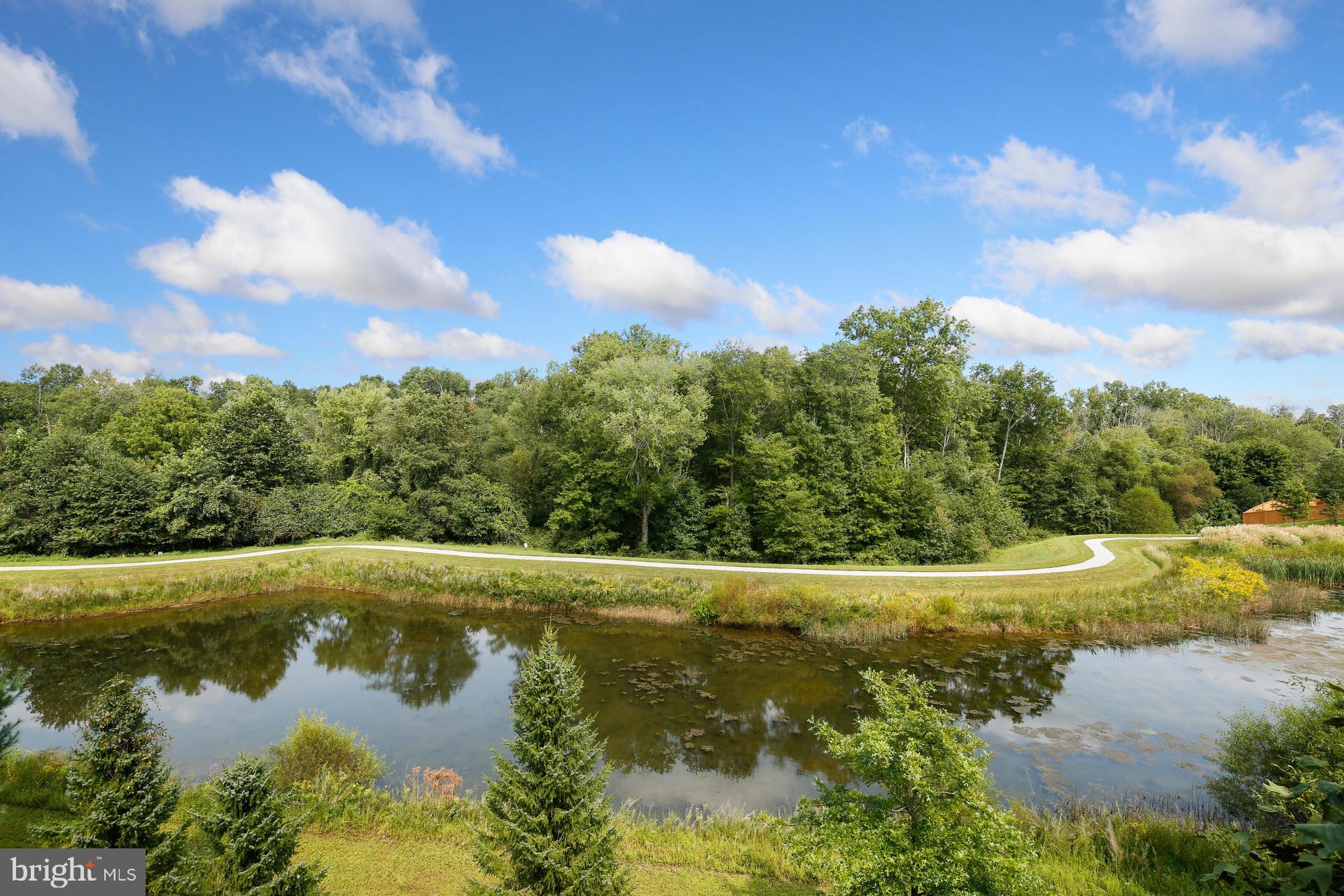 MAPLE LAWN - Residential