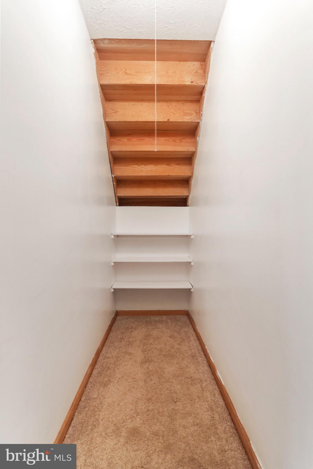 VISCOSE CITY - Residential