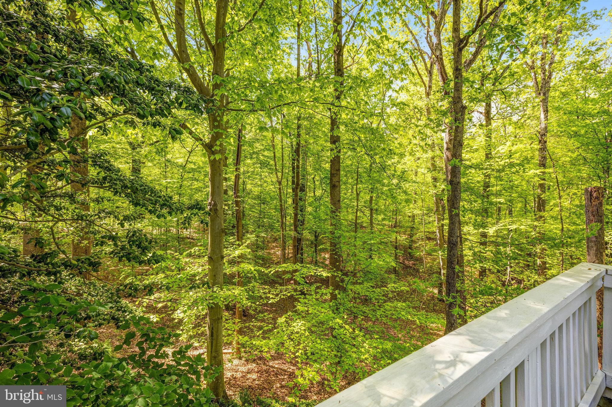 POTOMAC FOREST - Residential