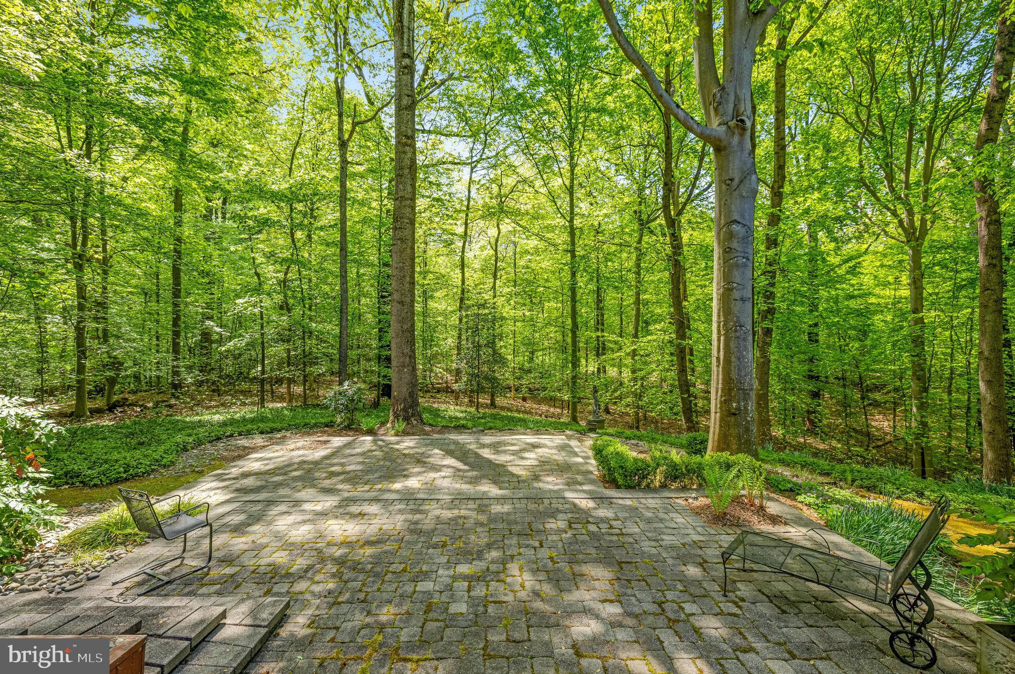 POTOMAC FOREST - Residential