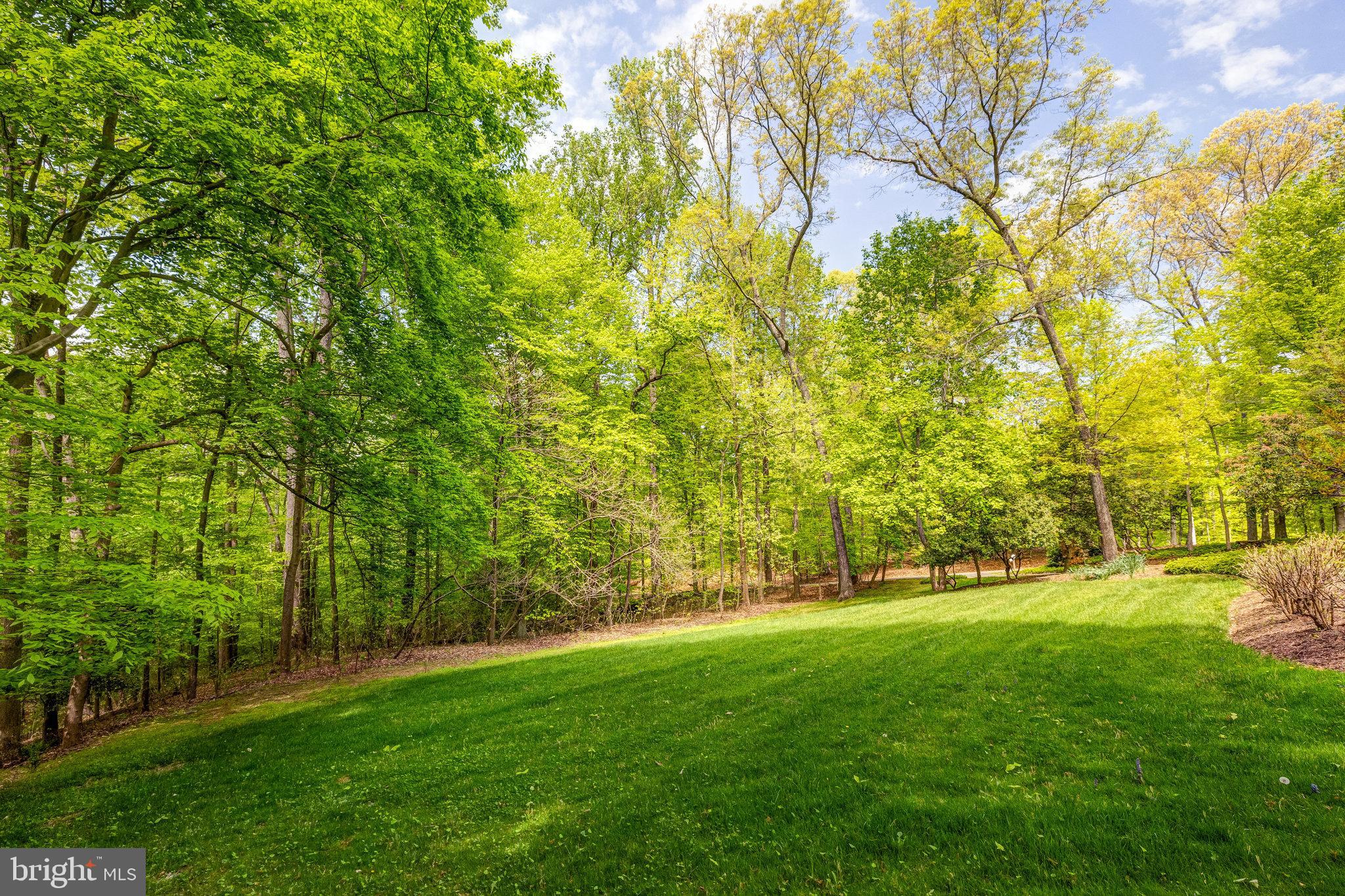 POTOMAC FOREST - Residential