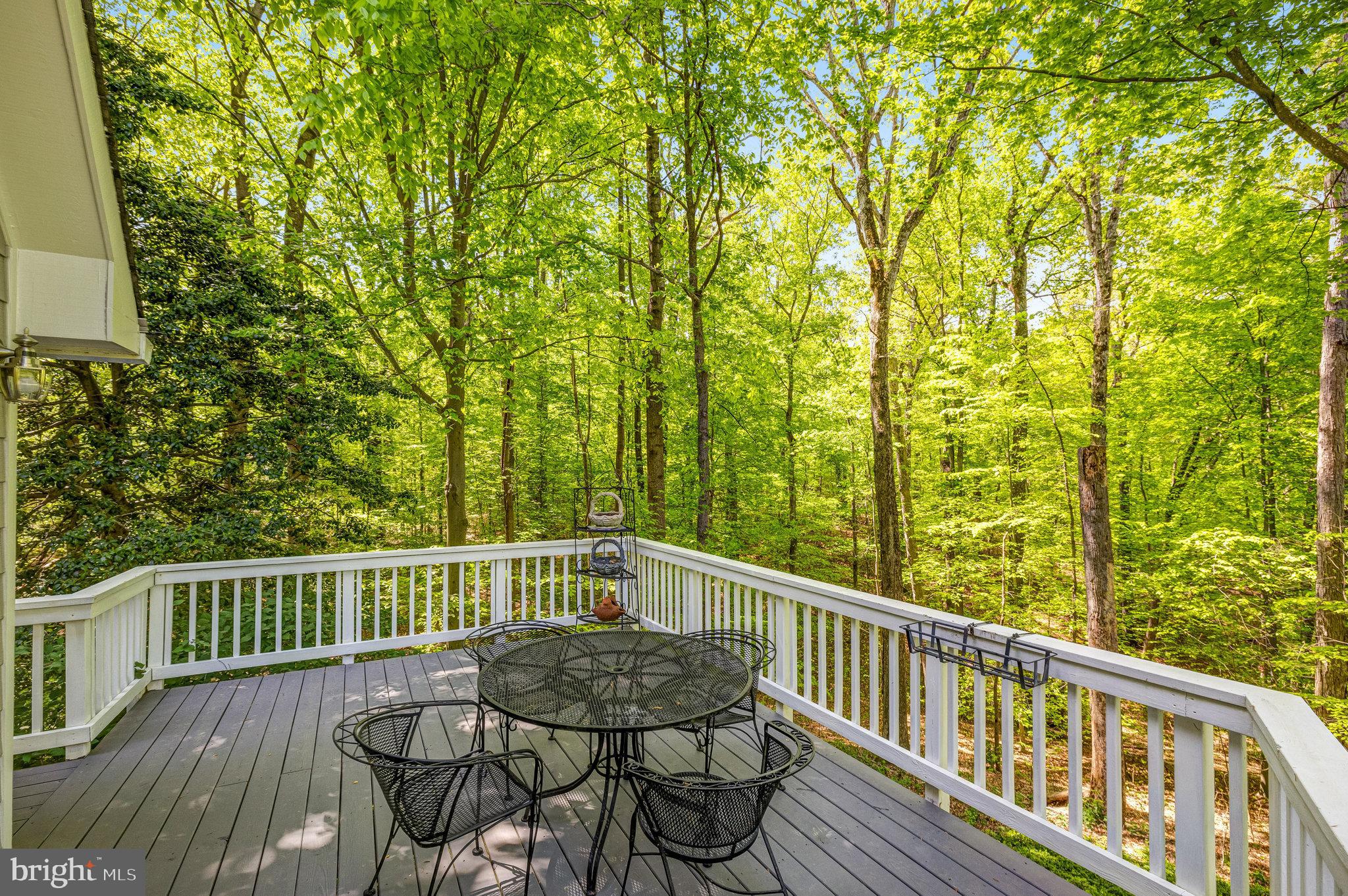 POTOMAC FOREST - Residential