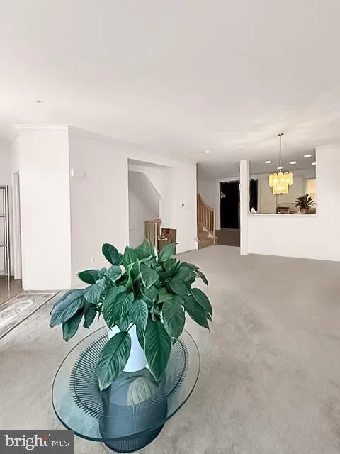Additional image 38 of 9228 Owings Choice Court, Owings Mills, MD 21117