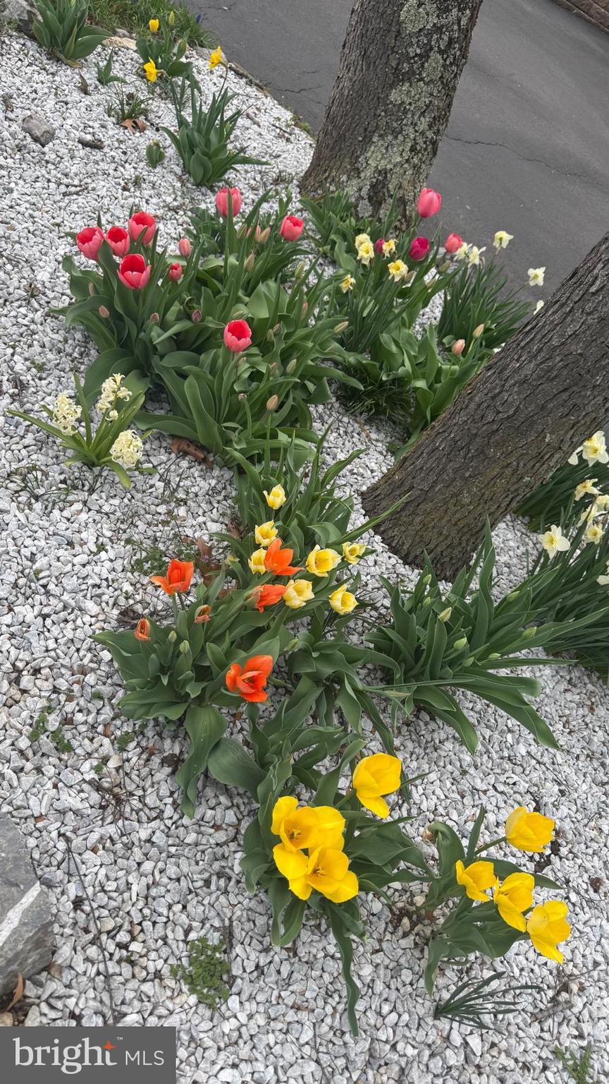 BRIGHTWOOD ACRES - Residential