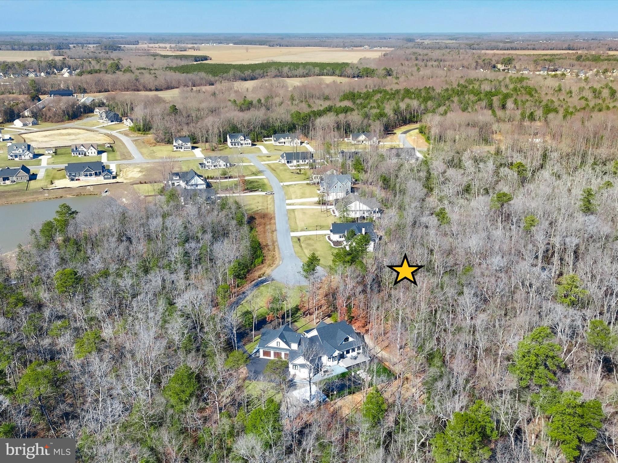 24299 SHEILAS BRANCH 114