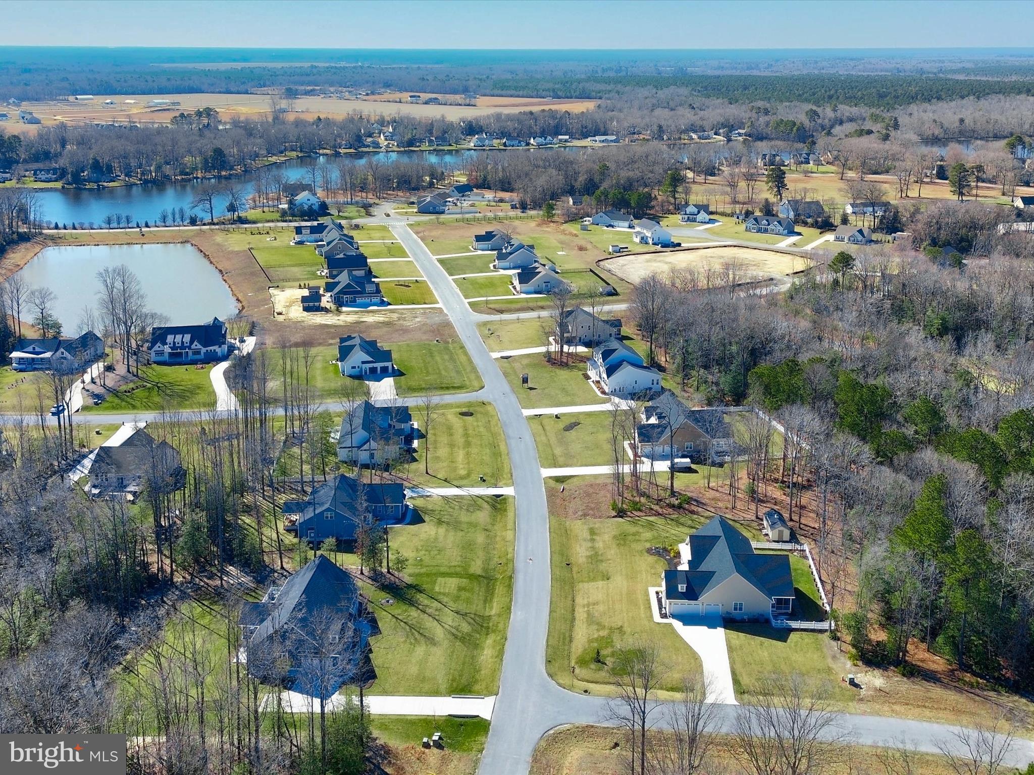 24299 SHEILAS BRANCH 114