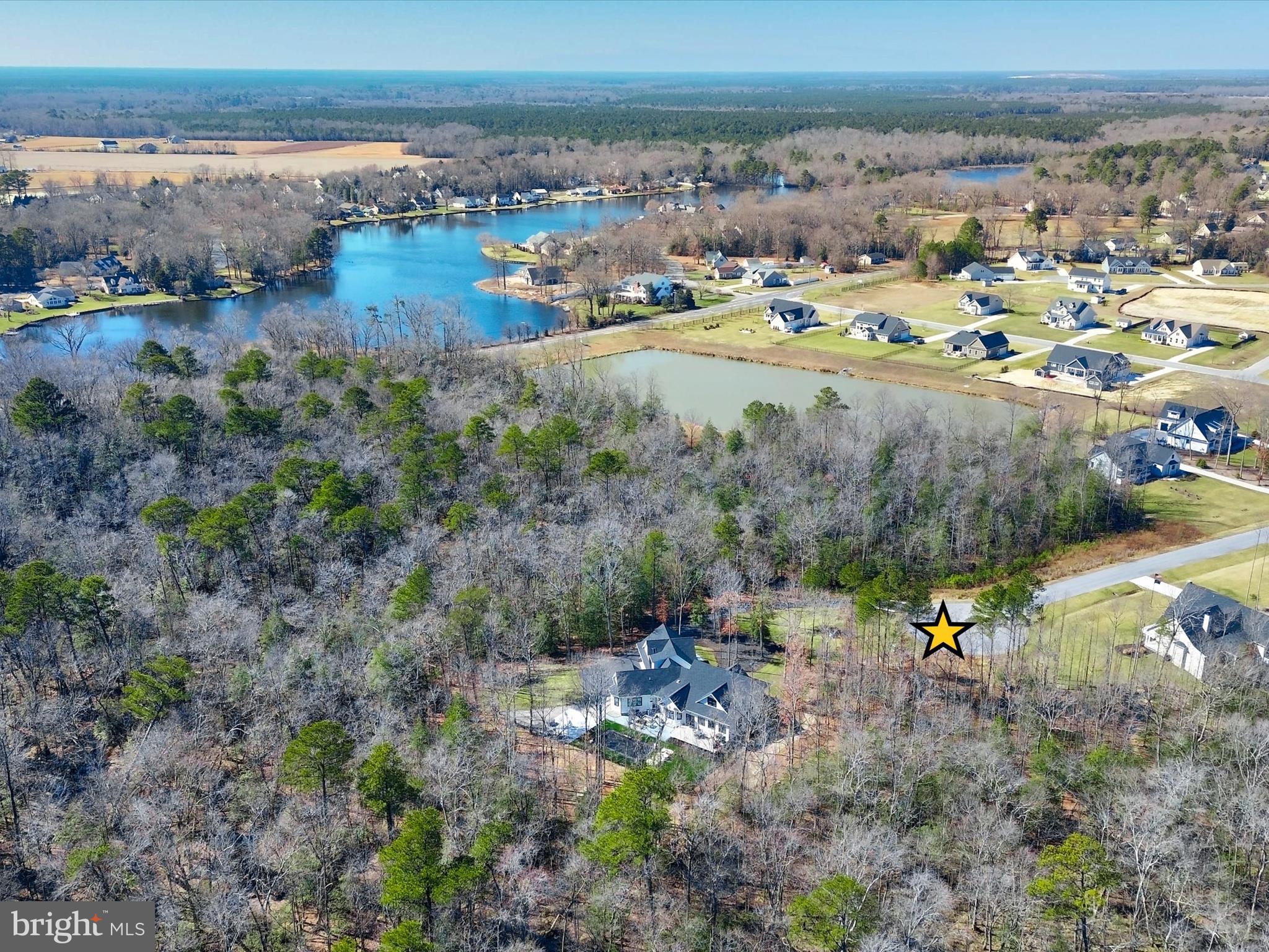 24299 SHEILAS BRANCH 114