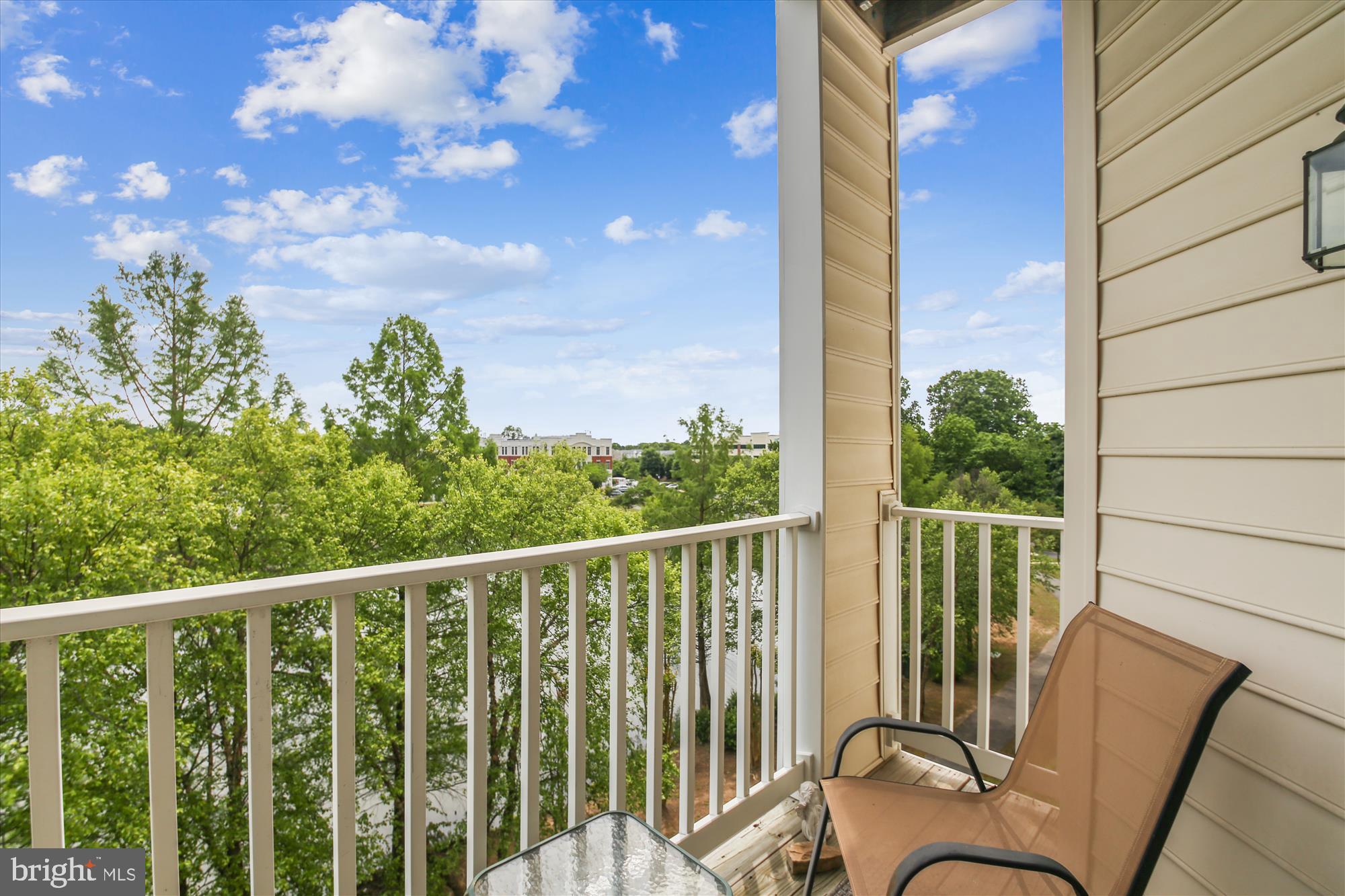 VILLAGE AT WAUGH CHAPEL - Residential