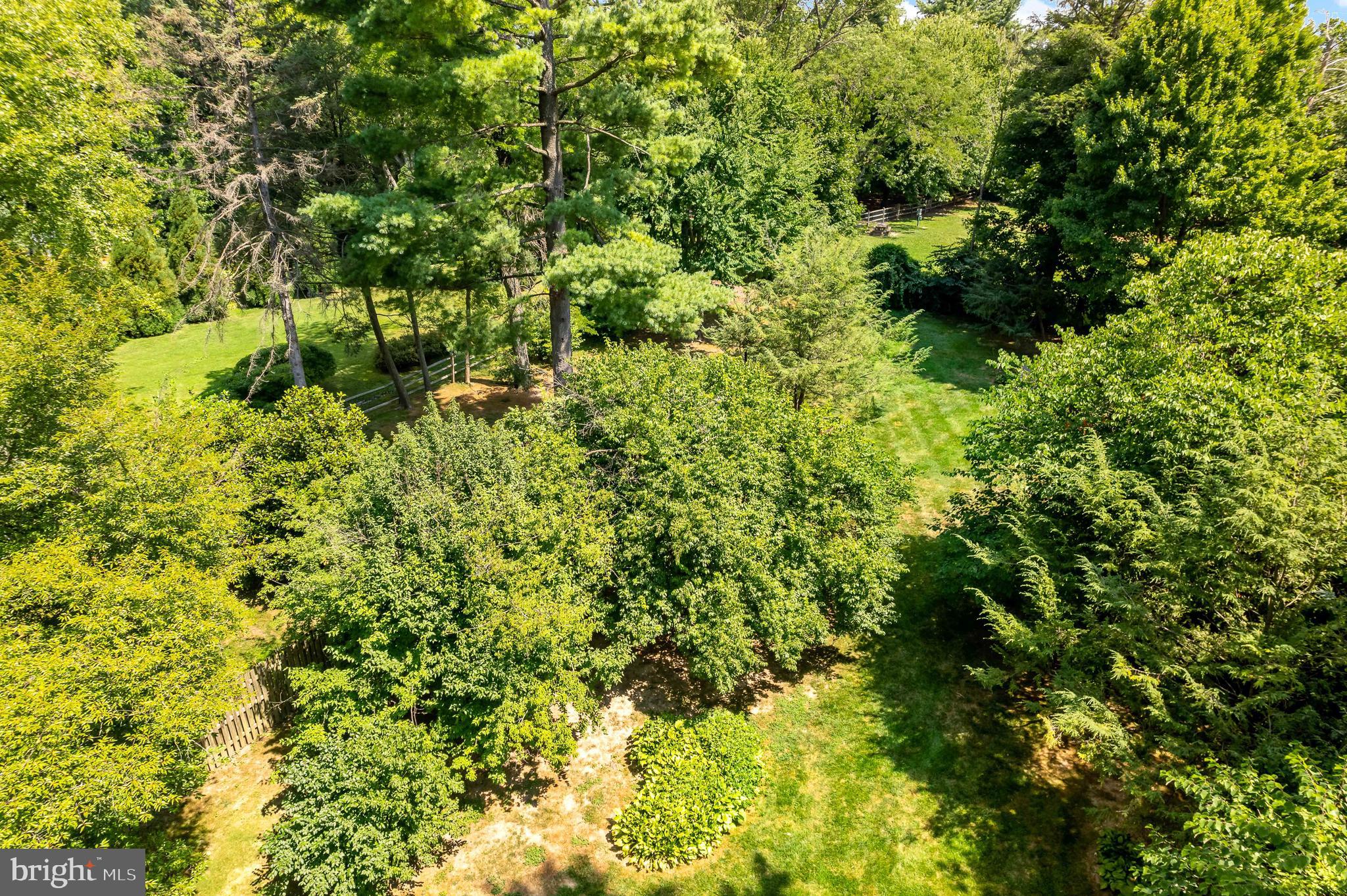 WYNDMOOR - Residential