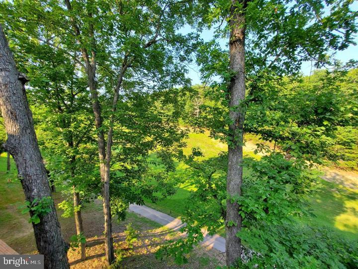 THE WOODS - Residential