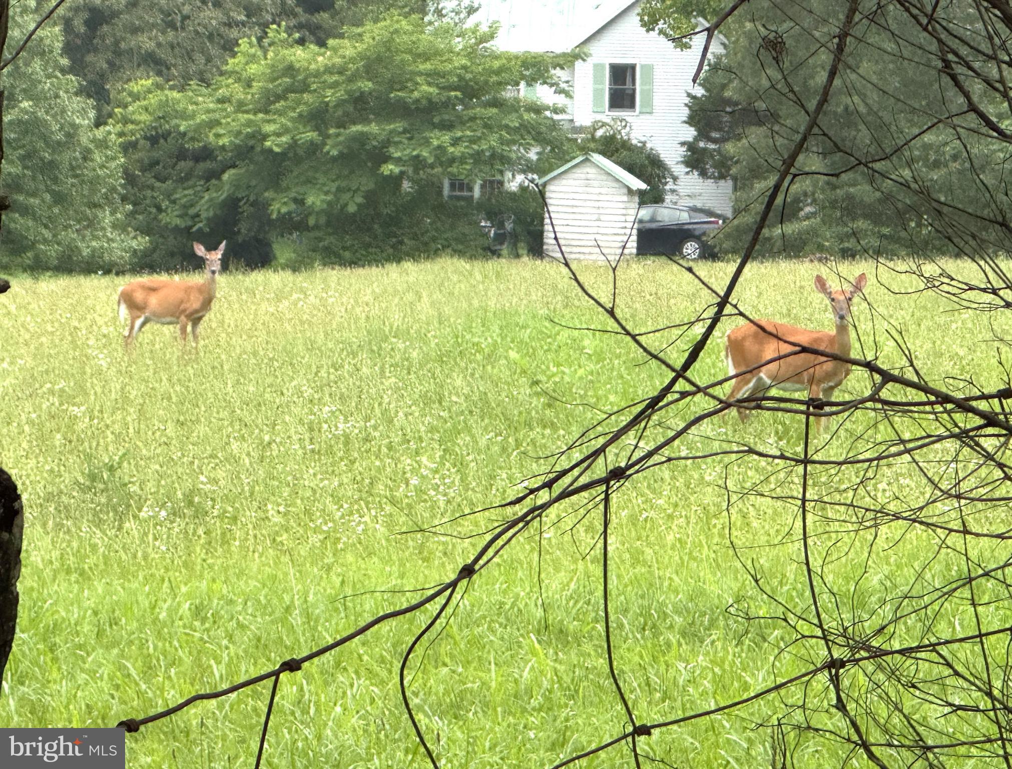 MURRAY HILL - Residential