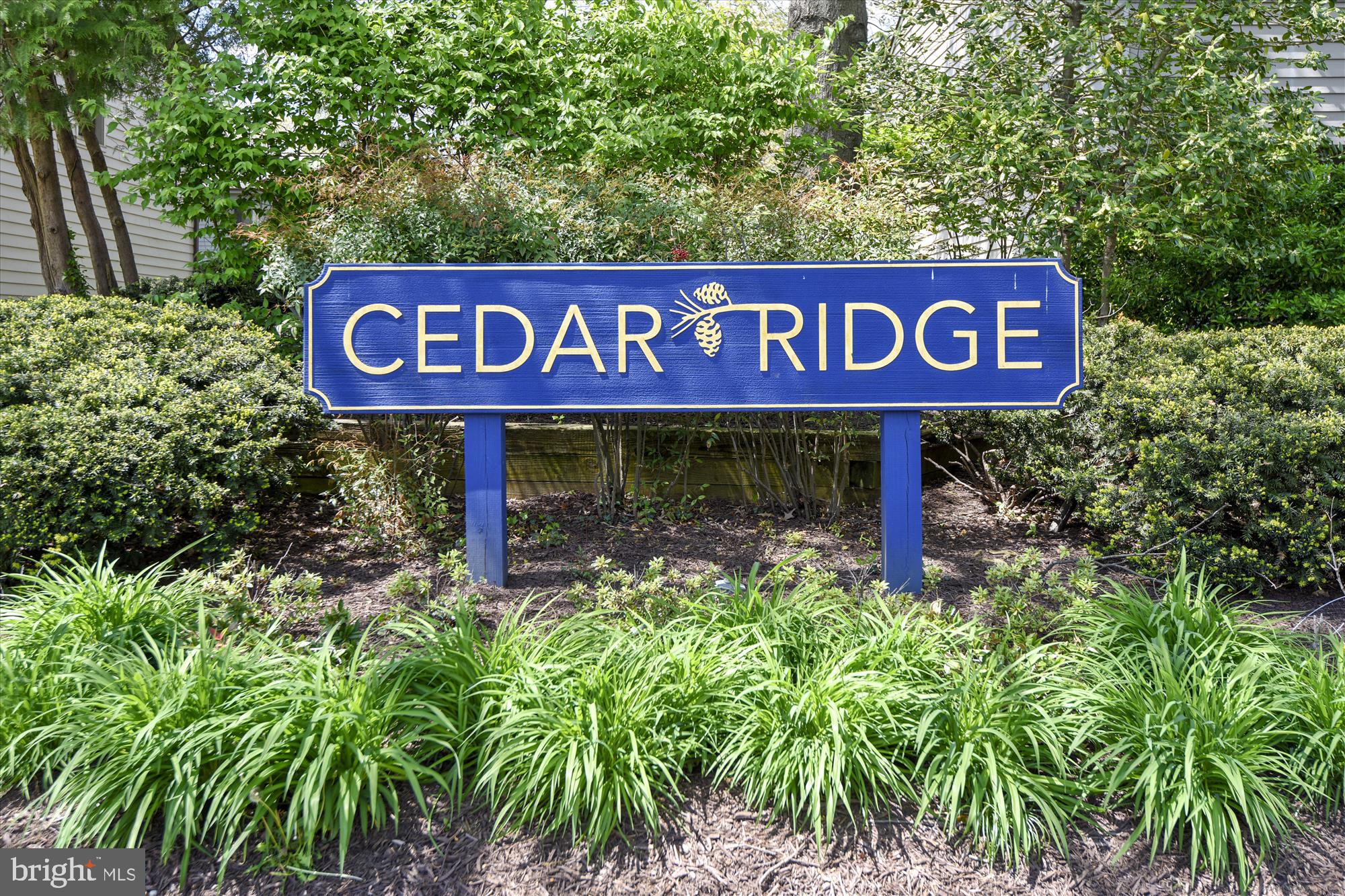 CEDAR RIDGE - Residential