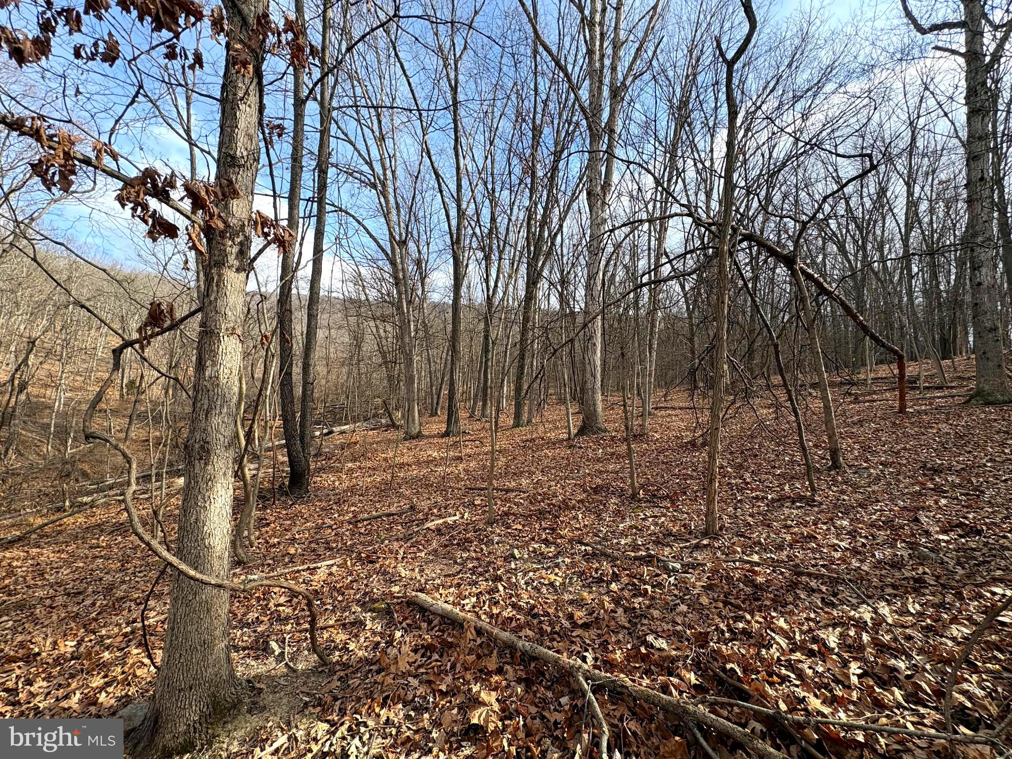 ROLLING ACRES - Land