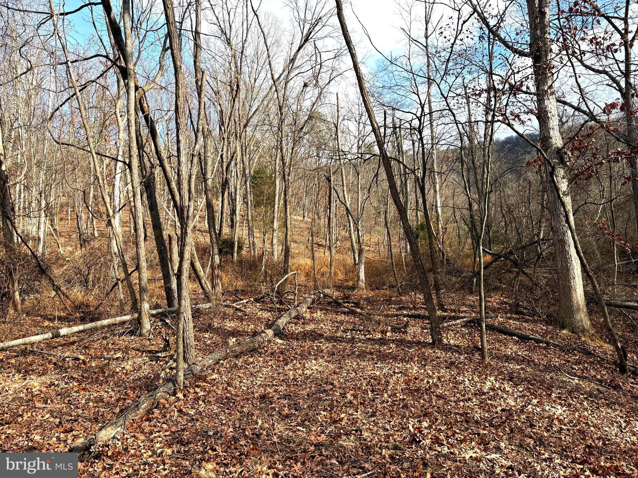 ROLLING ACRES - Land