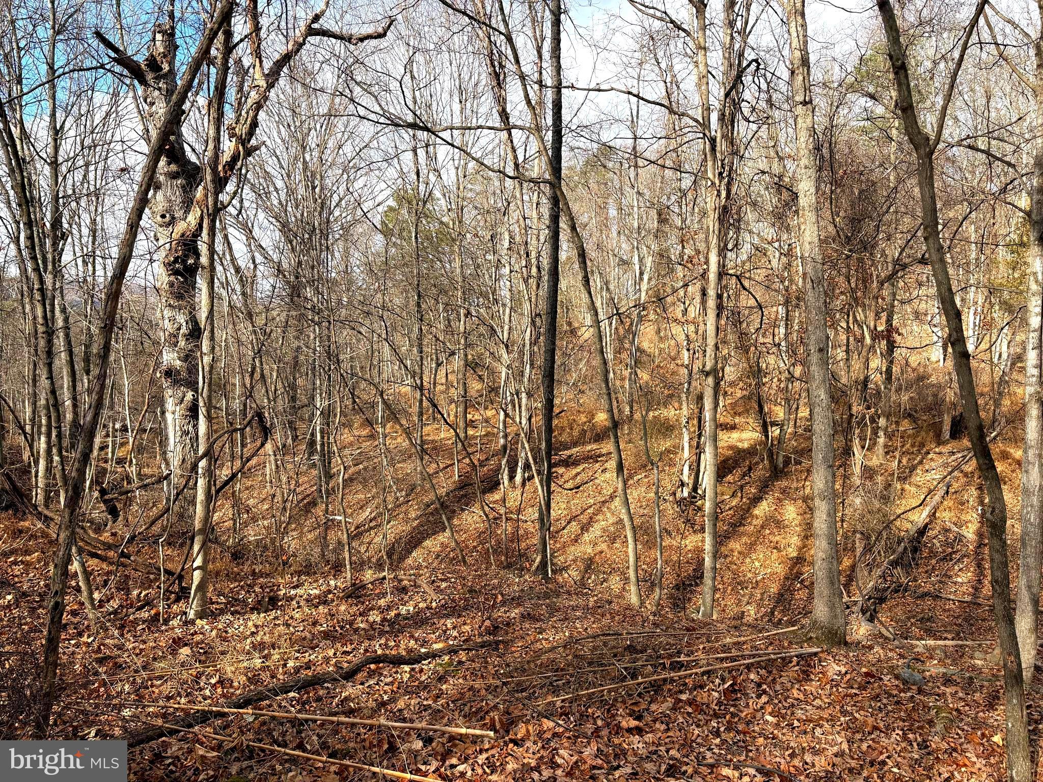 ROLLING ACRES - Land