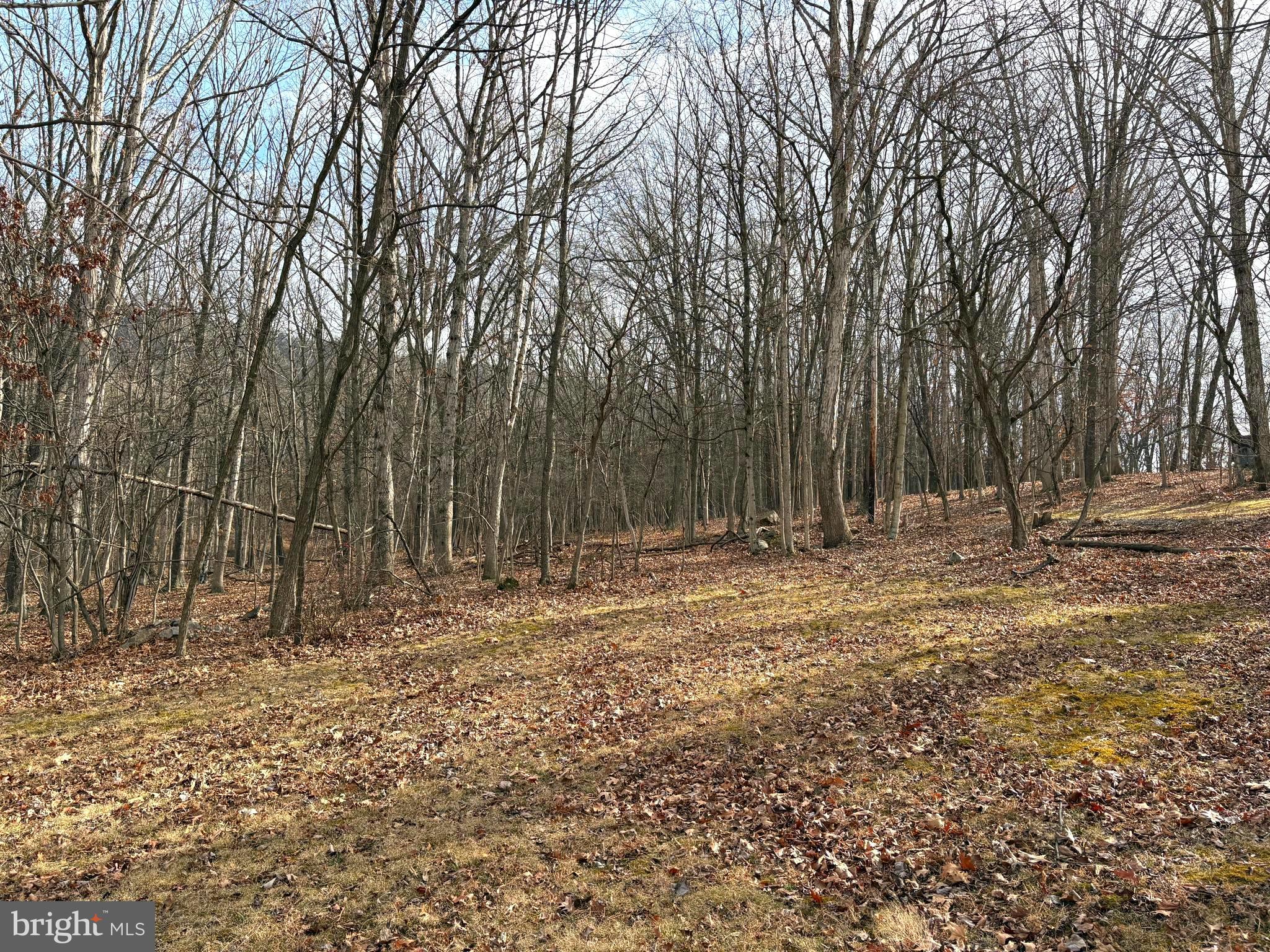 ROLLING ACRES - Land