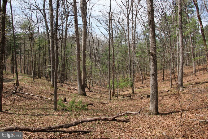 Own a piece of the beautiful Back Creek Heights community in Cross Junction. Located just minutes north of Winchester in the Dehaven part of the county. Access is secured via road frontage on Hodges Lane. Experience exciting hunting as many types of wildlife call this property home including deer, turkey, and many small game species. This tract is currently being used for recreation and hunting. Stellar views of the surrounding countryside are attainable with some tree clearing. This property features mildly sloping topography and a wet weather stream. Remote, fully wooded, and zoned Rural Areas (RA). No covenants, no restrictions, and no HOA! Enjoy hiking, camping, and recreation of all types on this land. A short drive from all the amenities and attractions Winchester has to offer. 

***Additional adjoining acreage available for purchase. See aerials for details.***