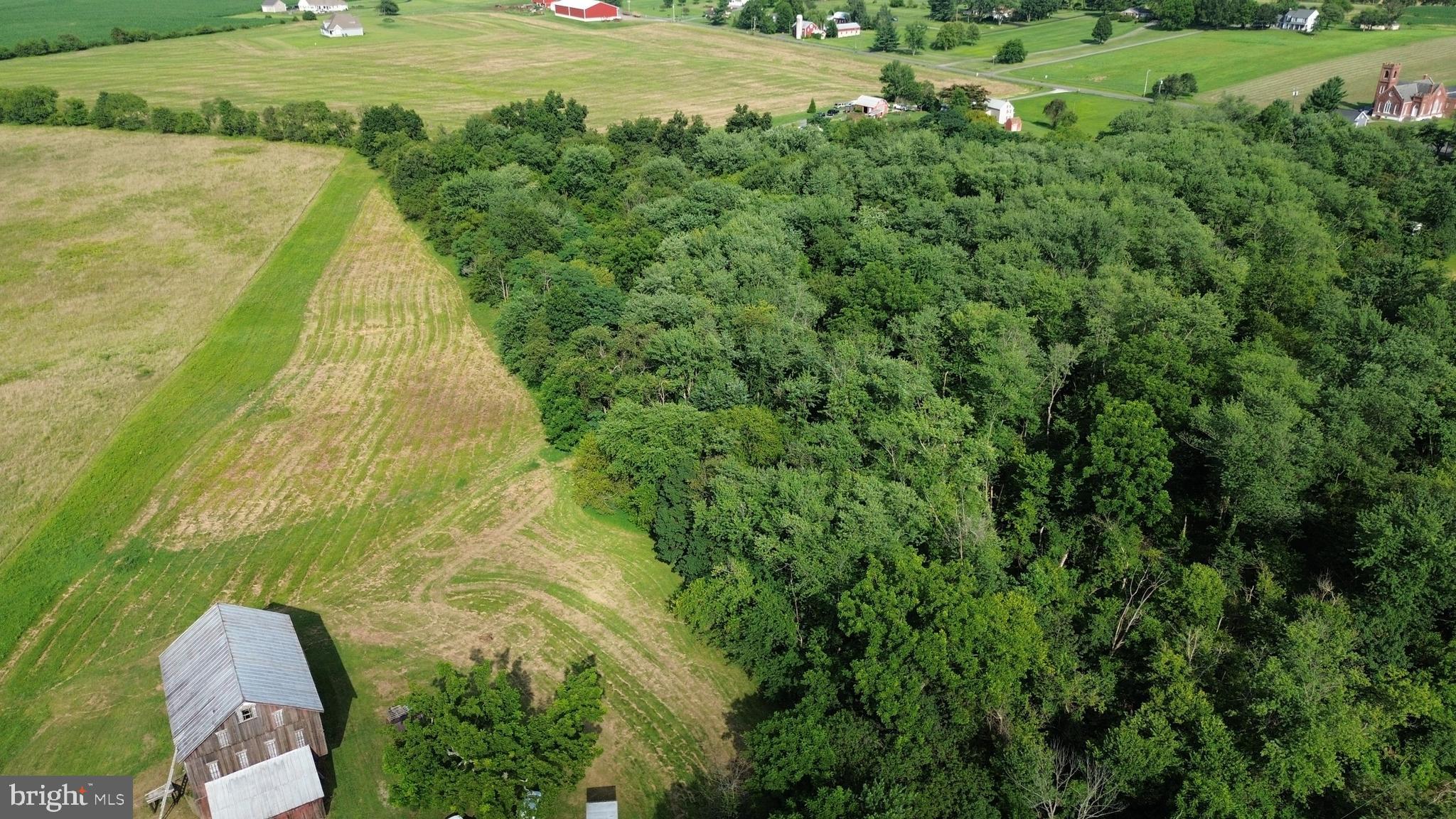 NONE AVAILABLE - Farm