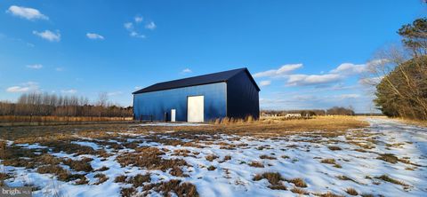 Vacant Land For Sale - 15008 Staytonville Road<br/> LINCOLN, DE 19960