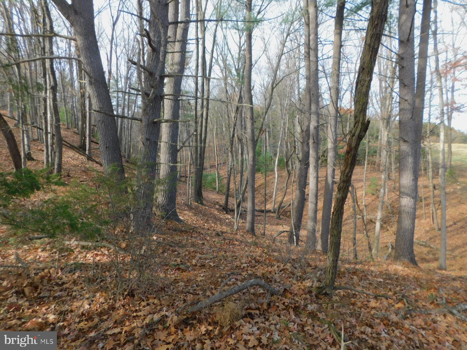 NO SUBDIVISION - Residential