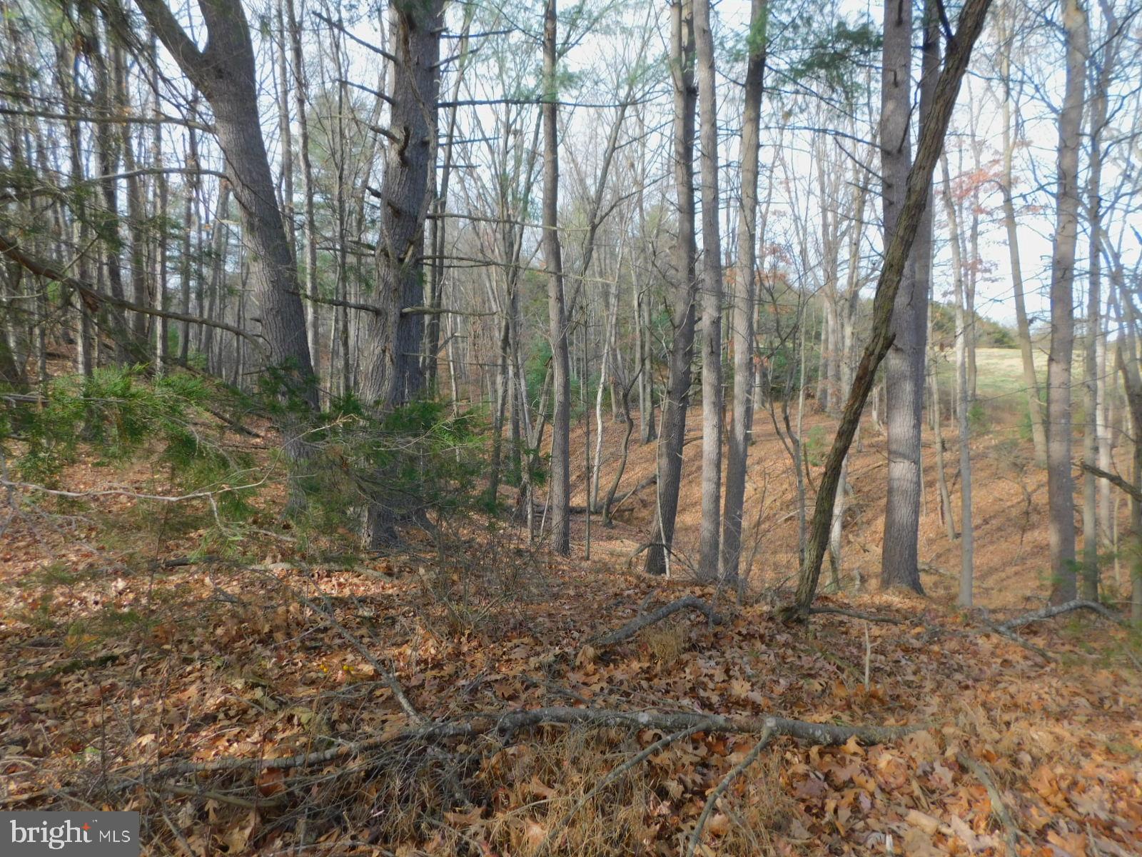 NO SUBDIVISION - Residential