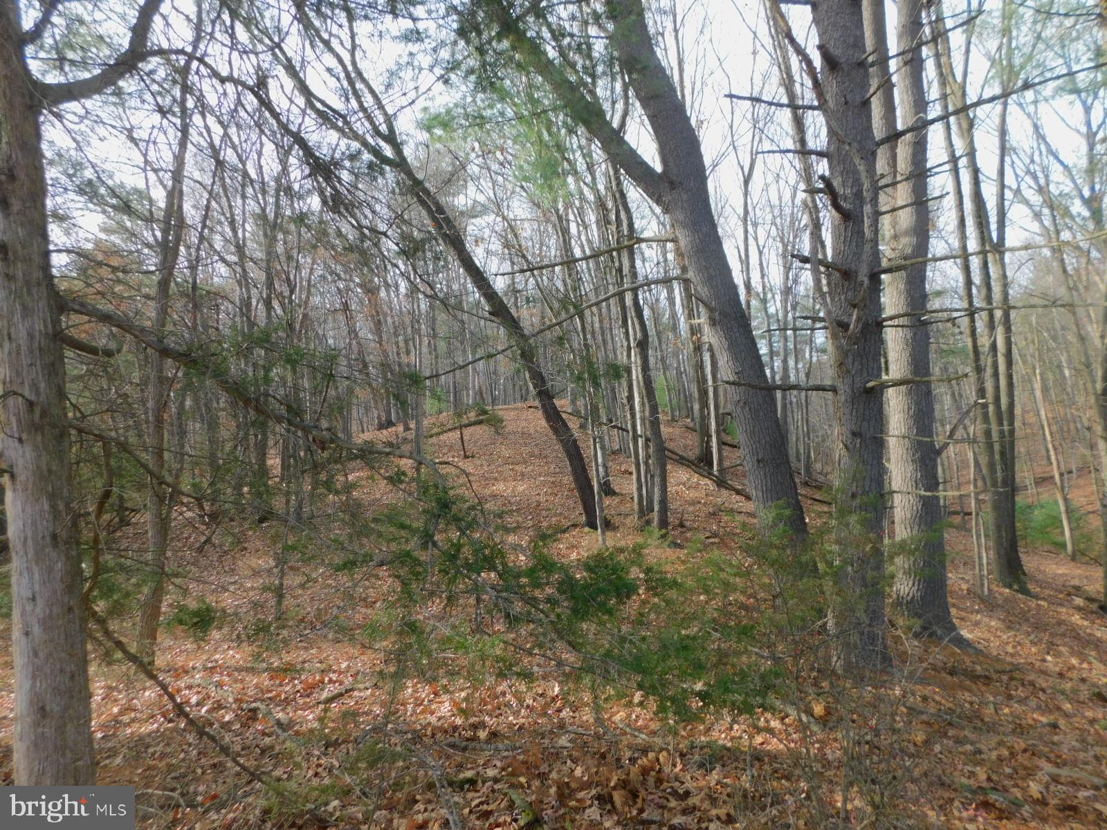 NO SUBDIVISION - Residential