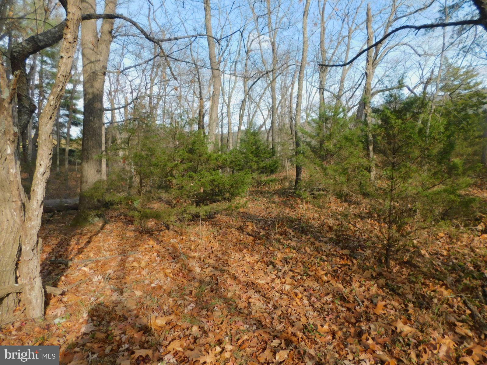 NO SUBDIVISION - Residential