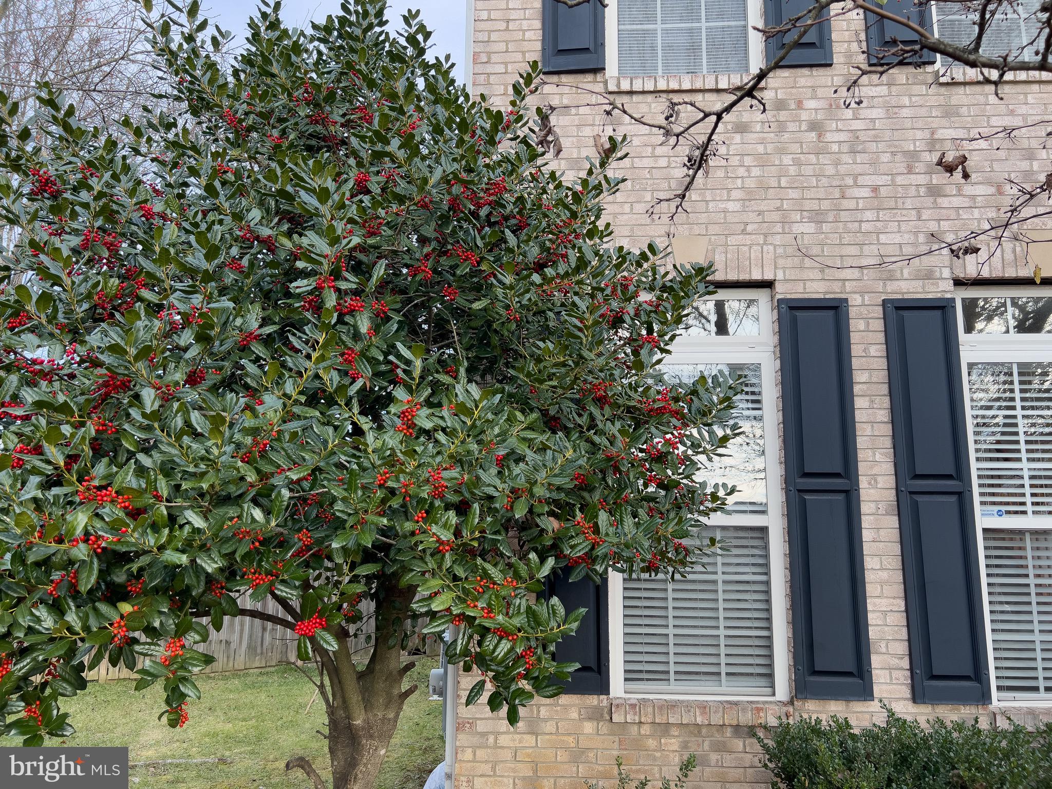 KELLYS LANDING-PLAT ONE> - Residential