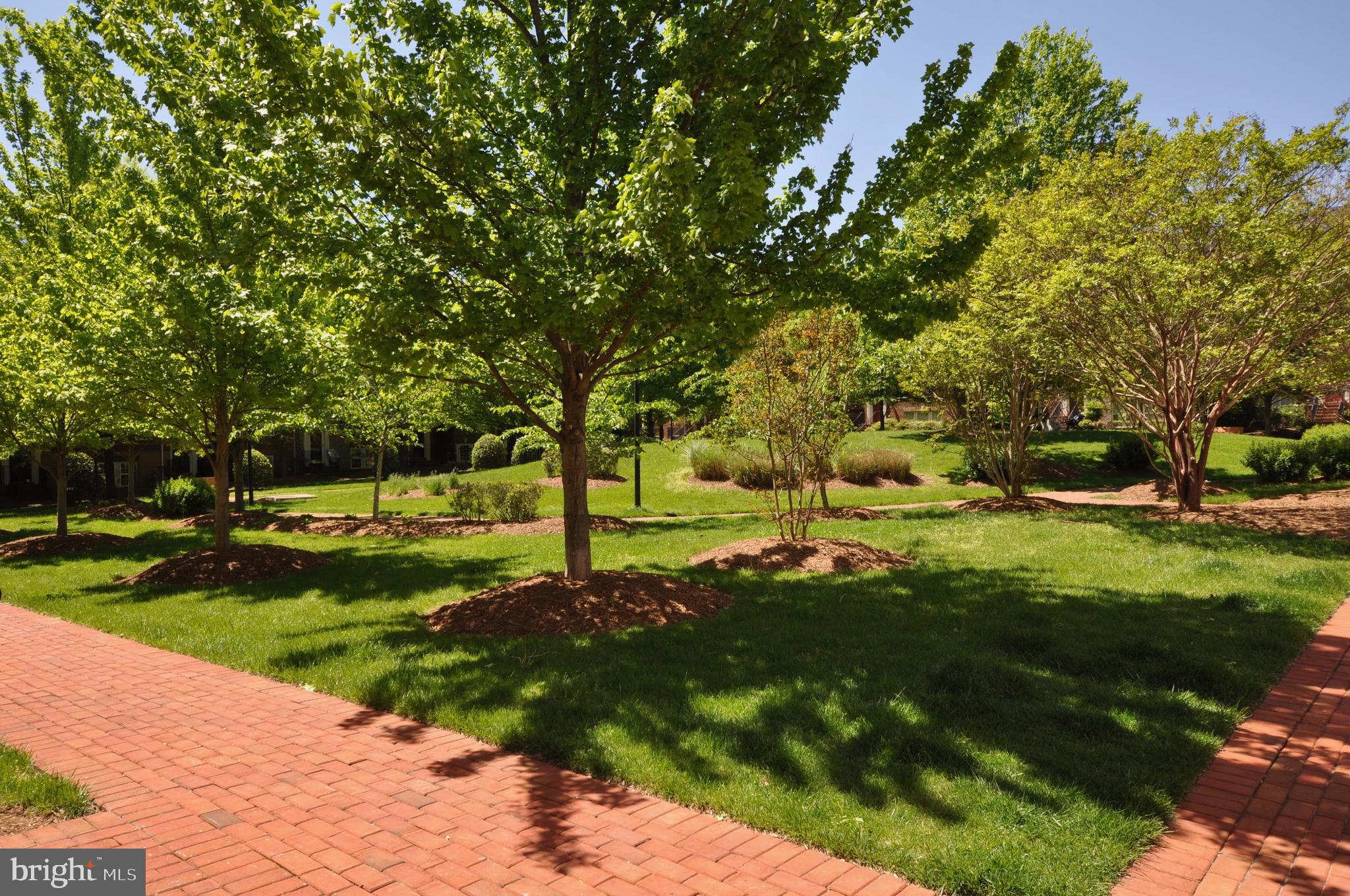 RESERVE AT TYSONS CORNER - Residential Lease