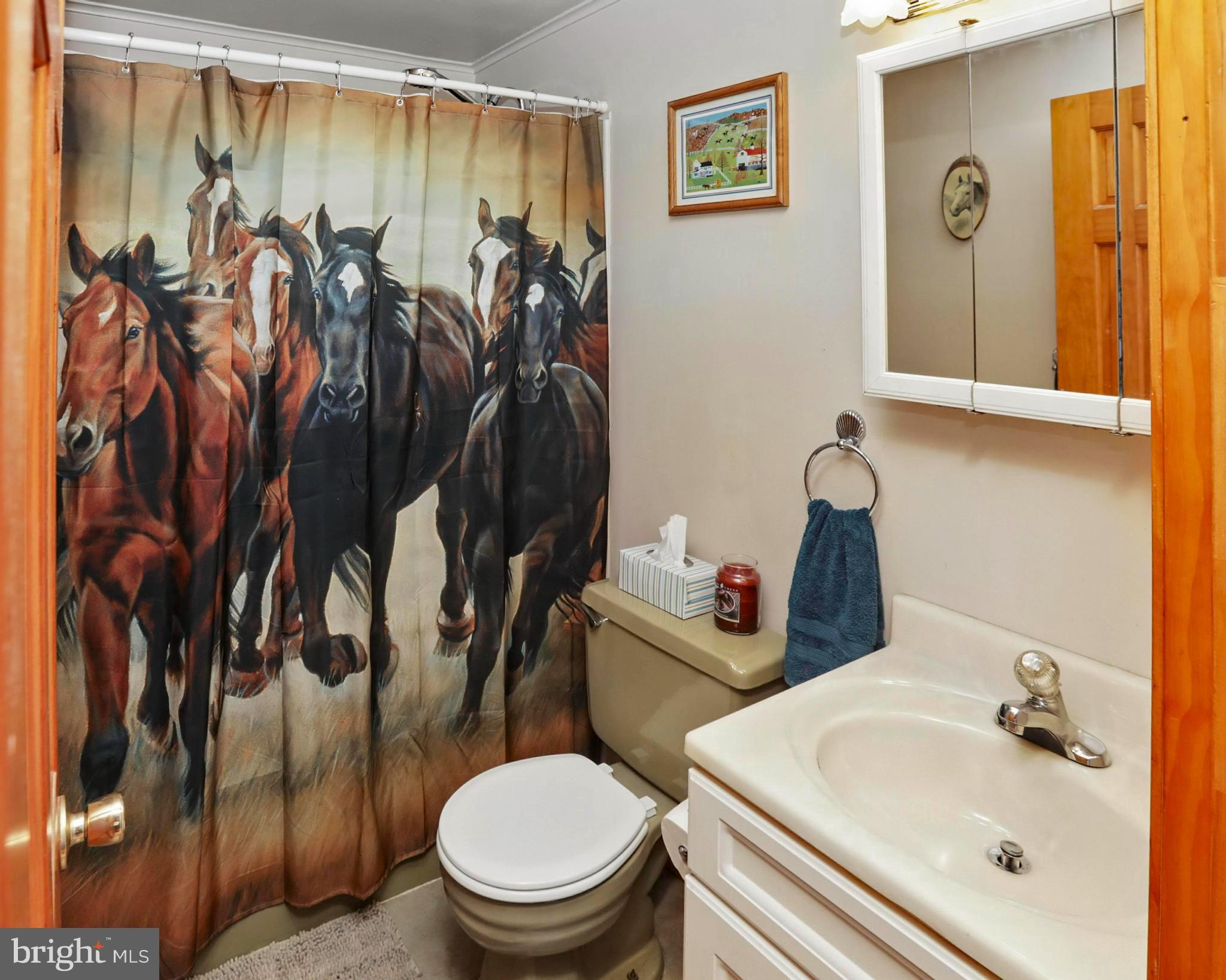 LAKE WYNONAH - Residential