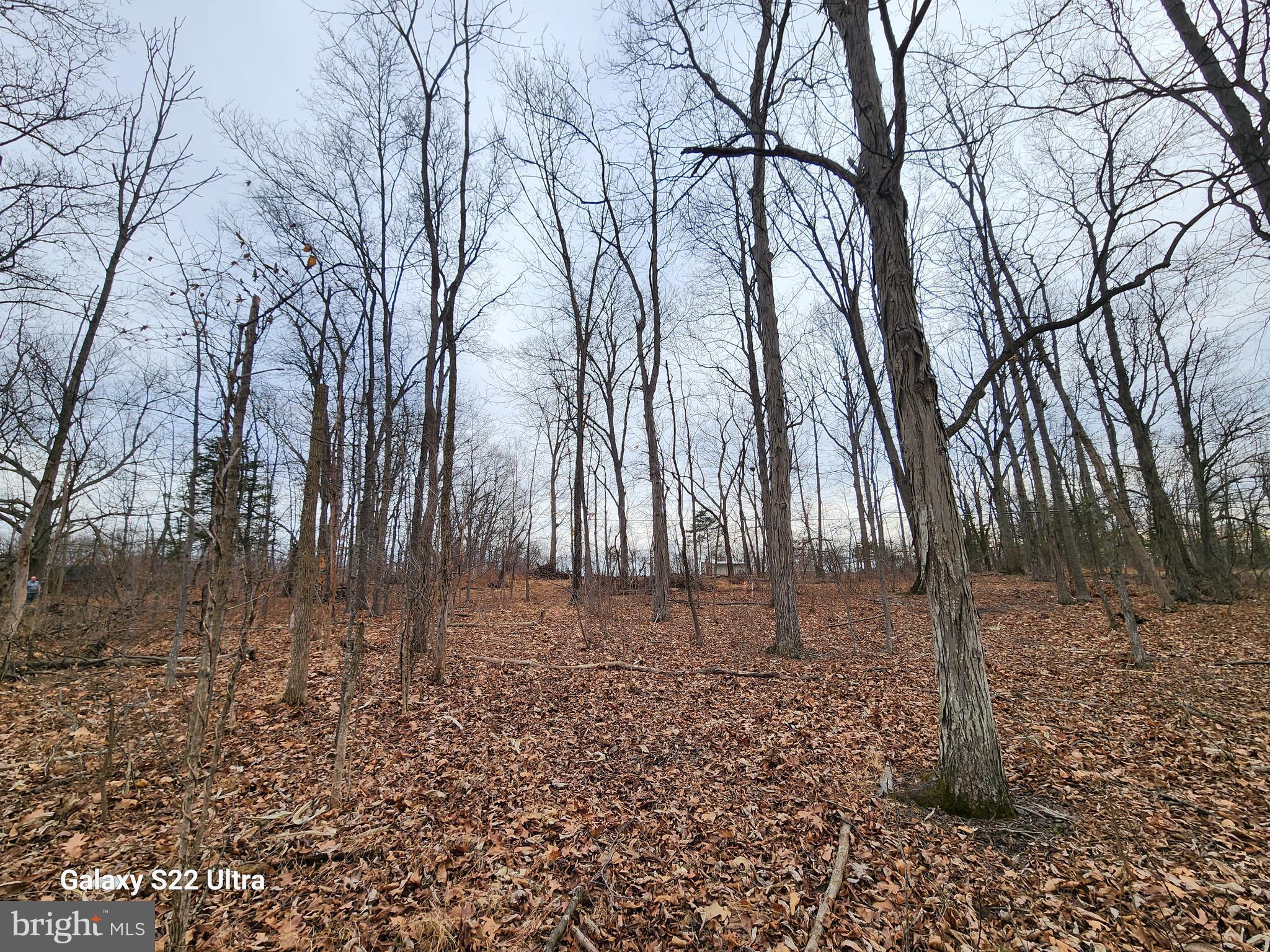 470 SEVEN STARS ROAD