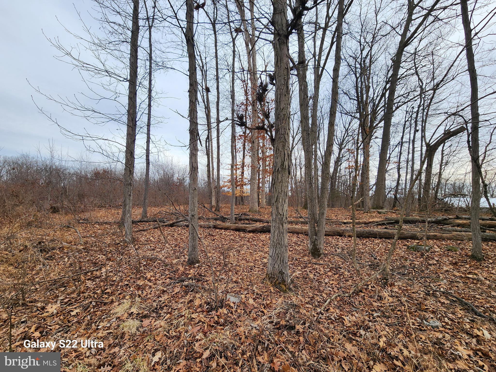 470 SEVEN STARS ROAD