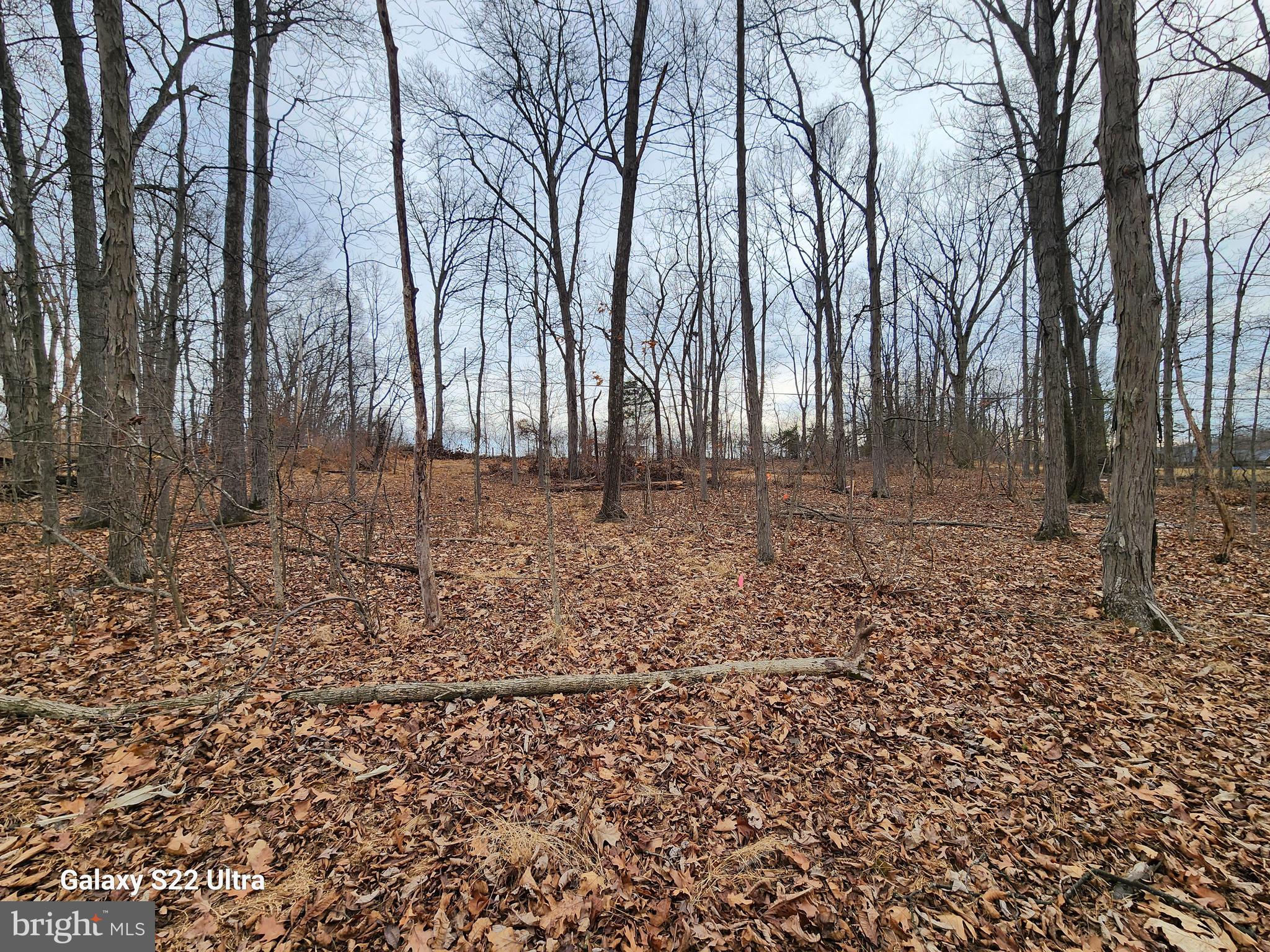 470 SEVEN STARS ROAD