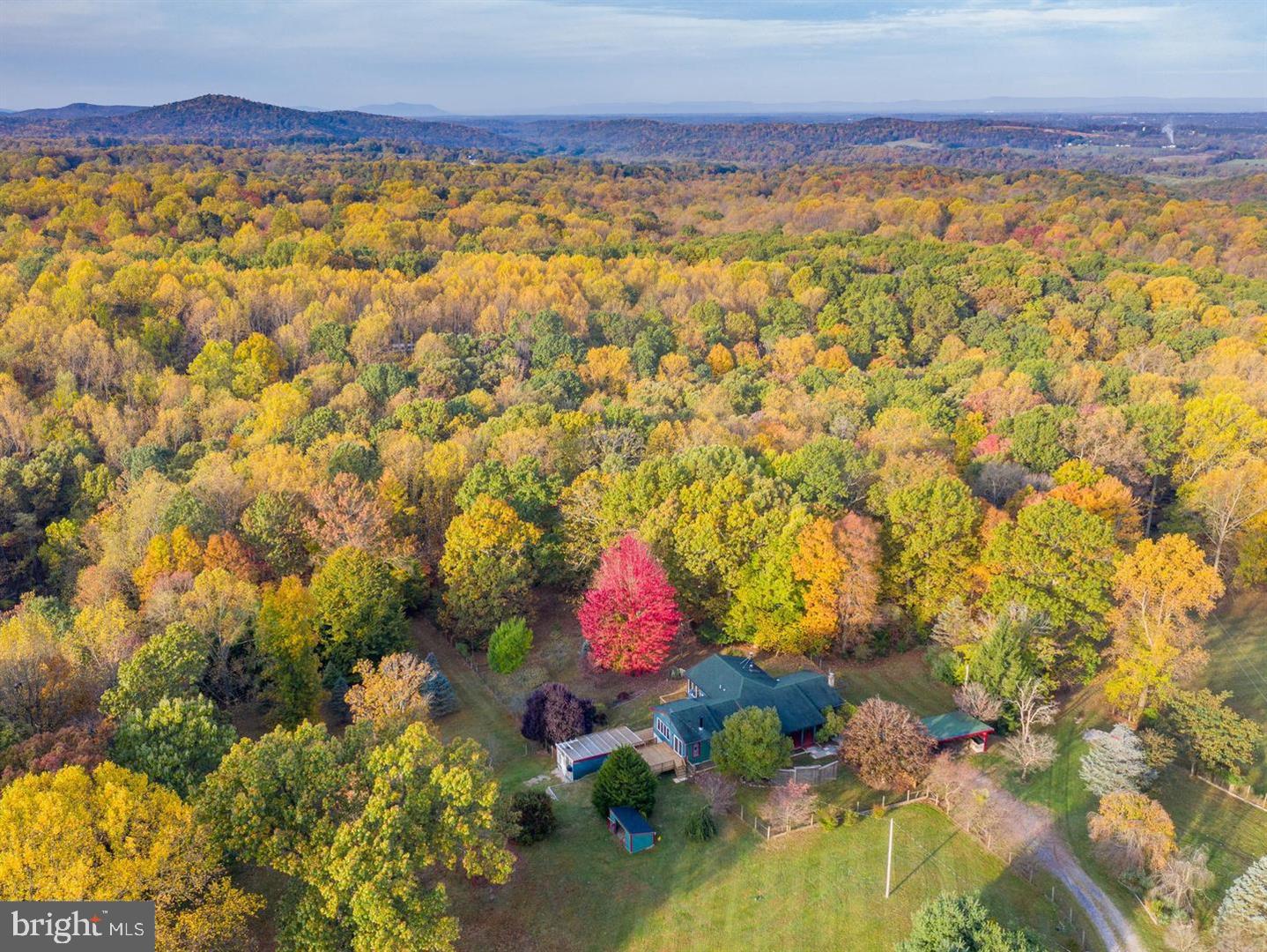 BLUEMONT - Residential