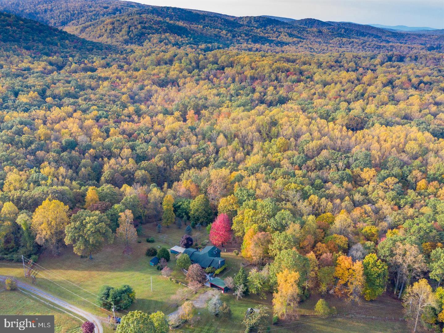 BLUEMONT - Residential