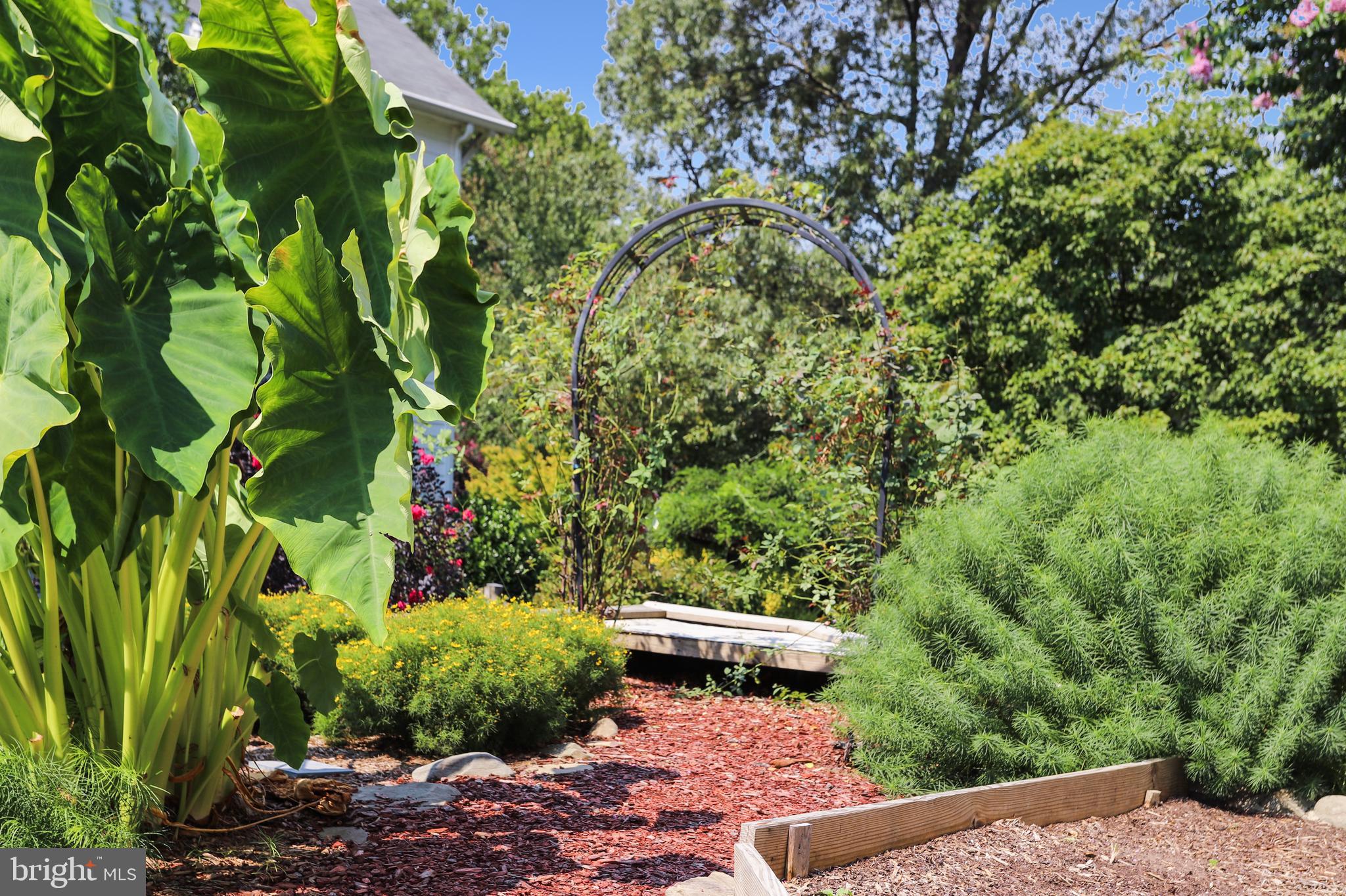 BRADDOCK HEIGHTS - Residential