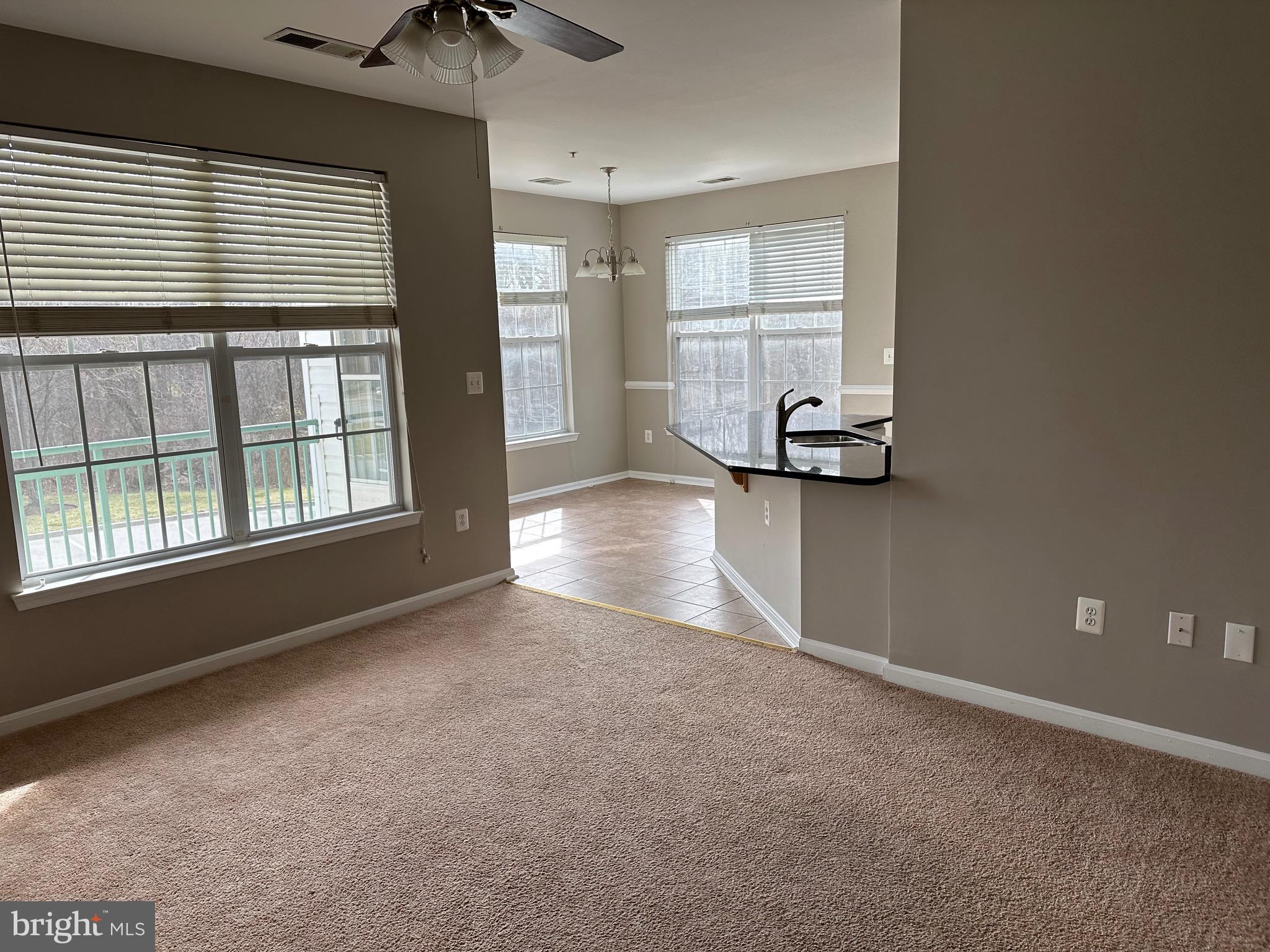 WOODLAND BOWIE CONDO - Residential