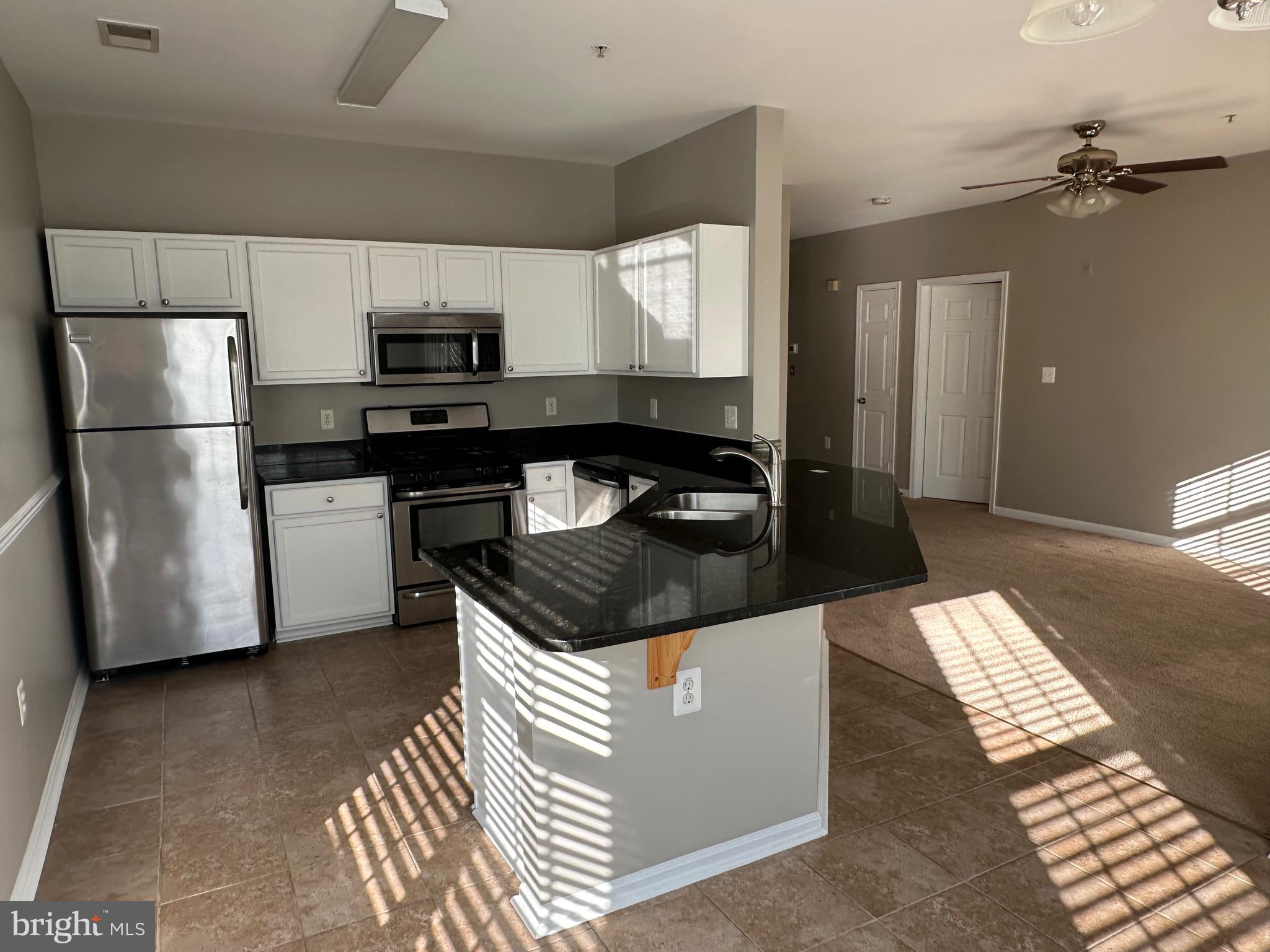 WOODLAND BOWIE CONDO - Residential